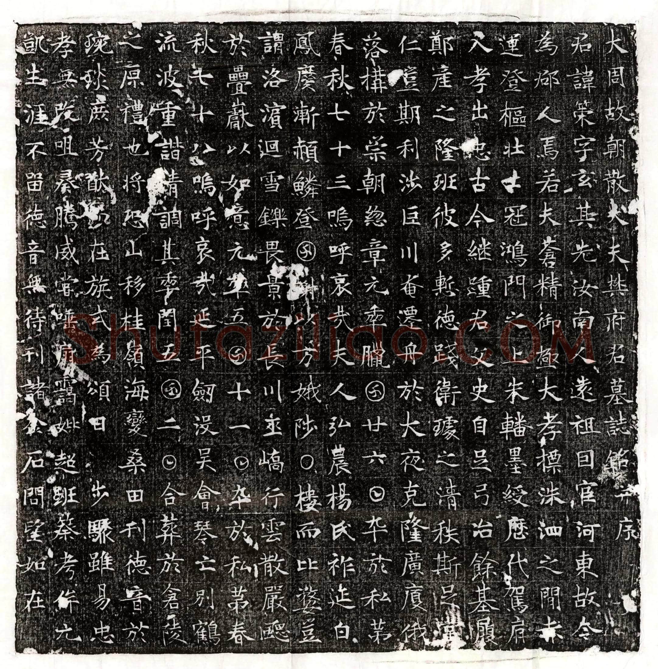 唐 骞愻 墓誌