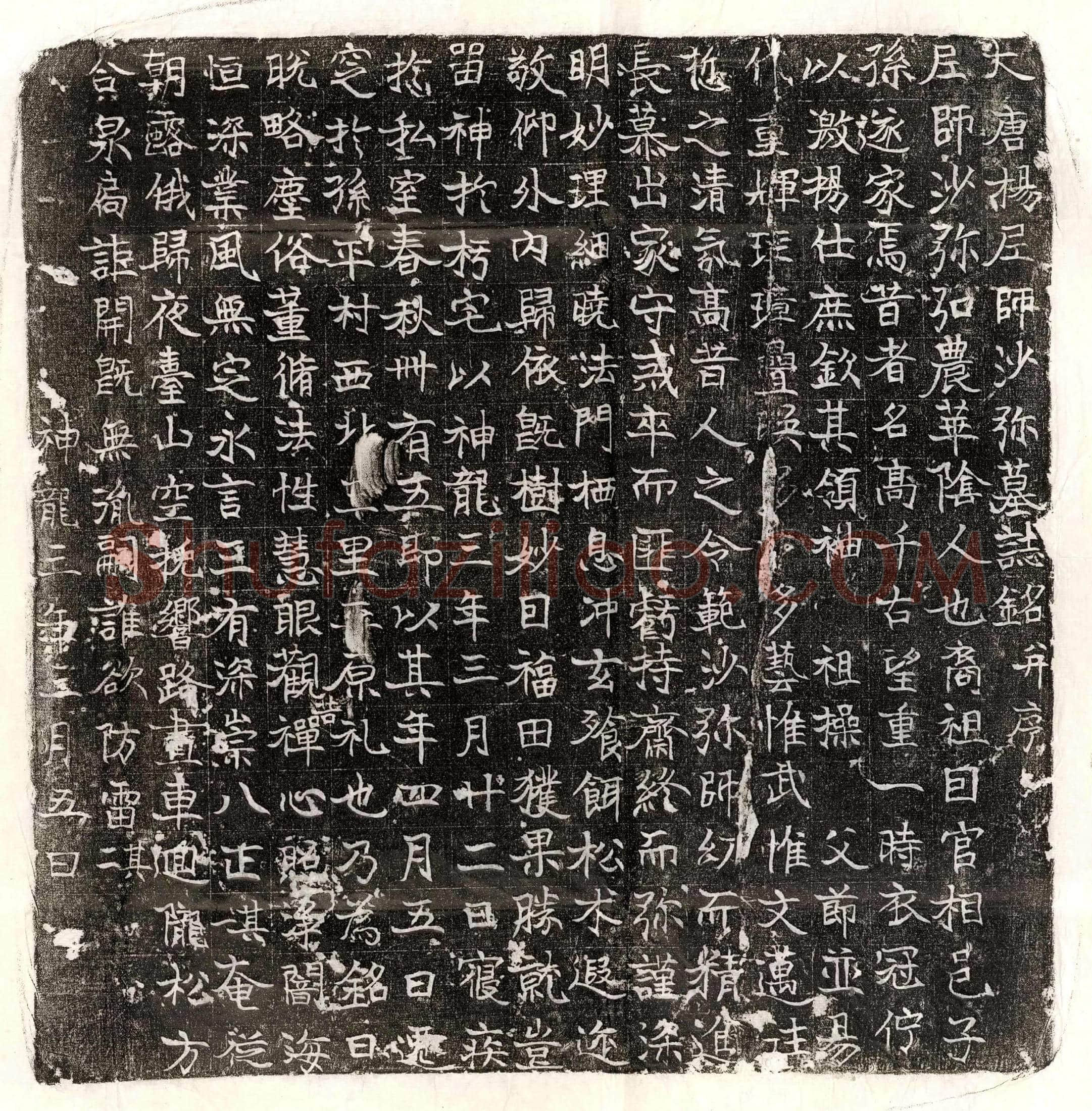 唐杨尼师墓誌(大唐杨尼师沙弥墓誌铭并序)