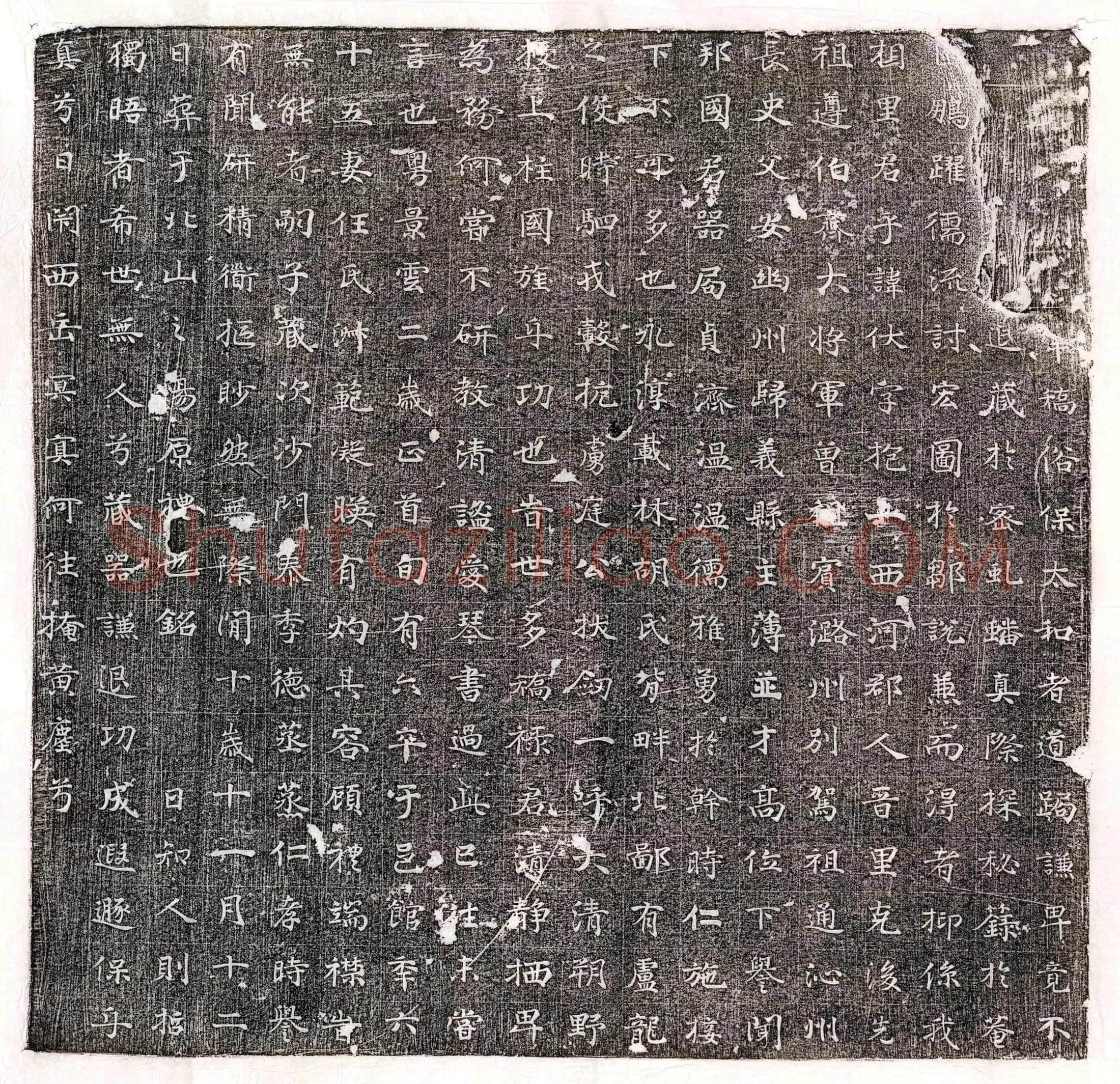 唐 杨尼师 墓誌