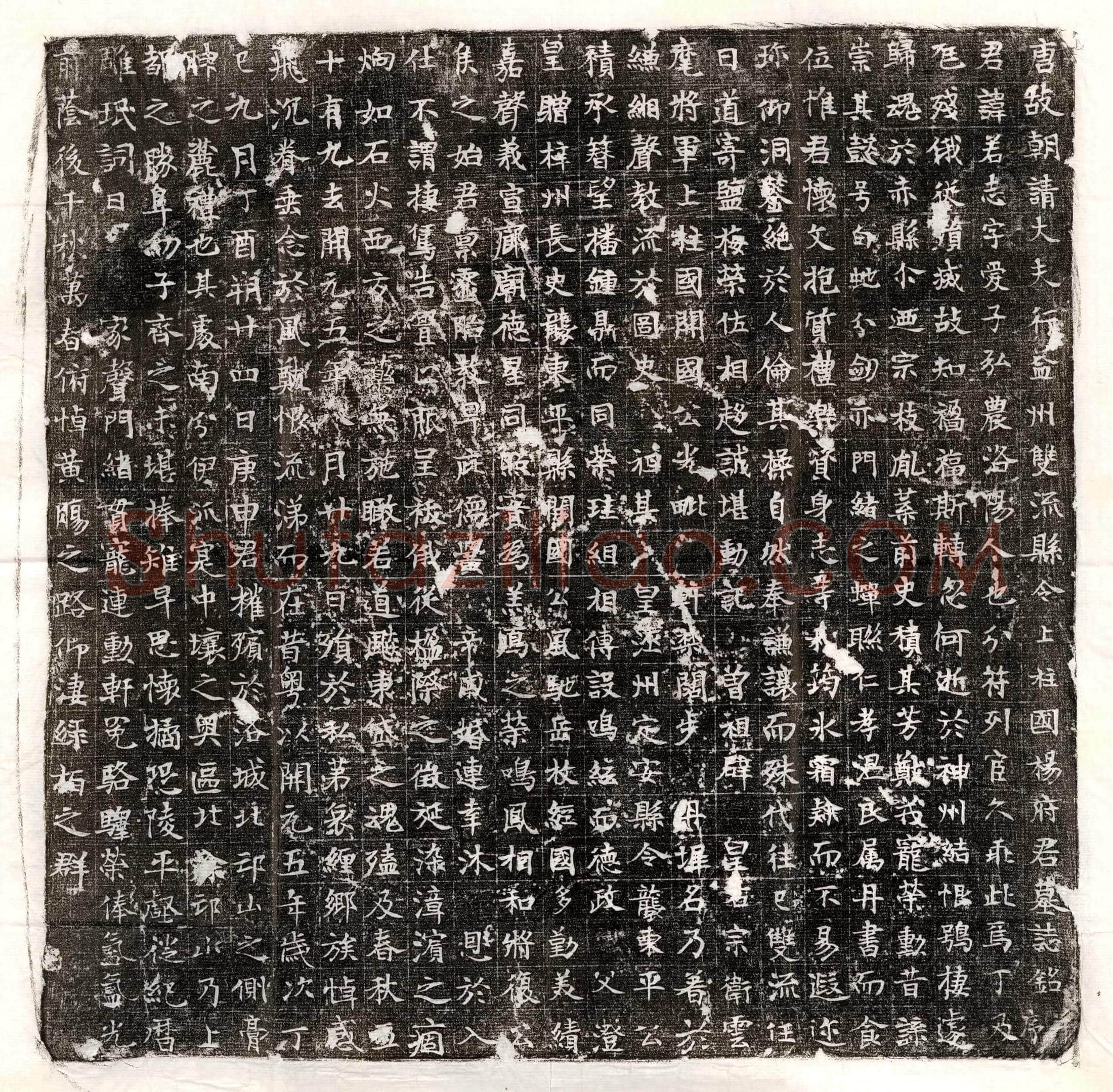 唐 司马将 墓誌