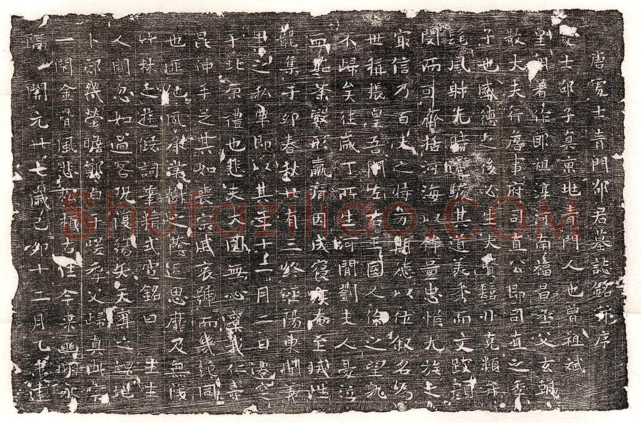 唐邵子真墓誌(唐处士青门邵君墓誌铭并序)
