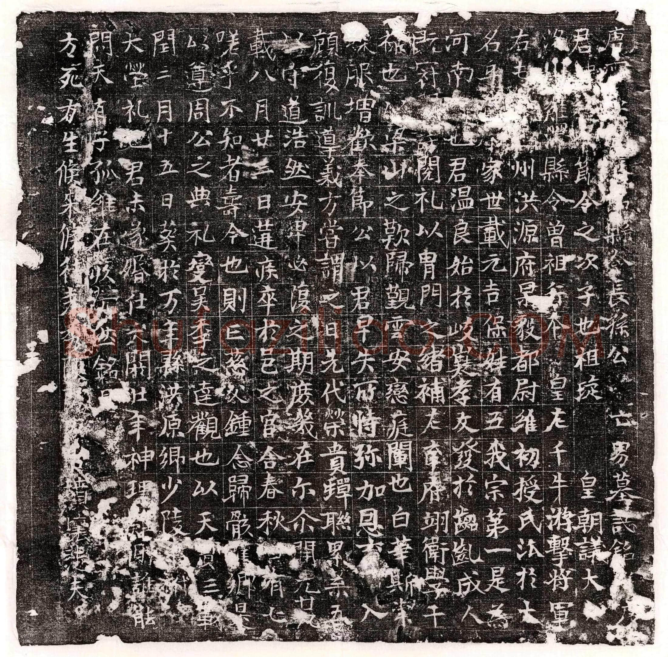 唐 张君 墓誌