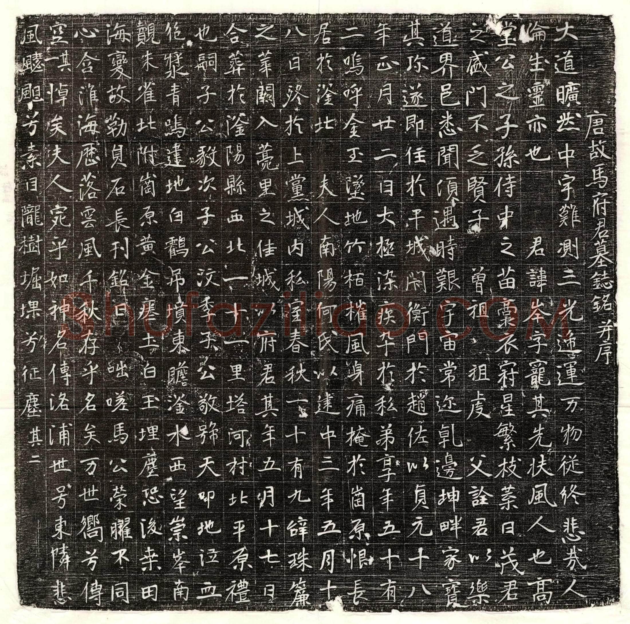 唐 第五玄昱 墓誌