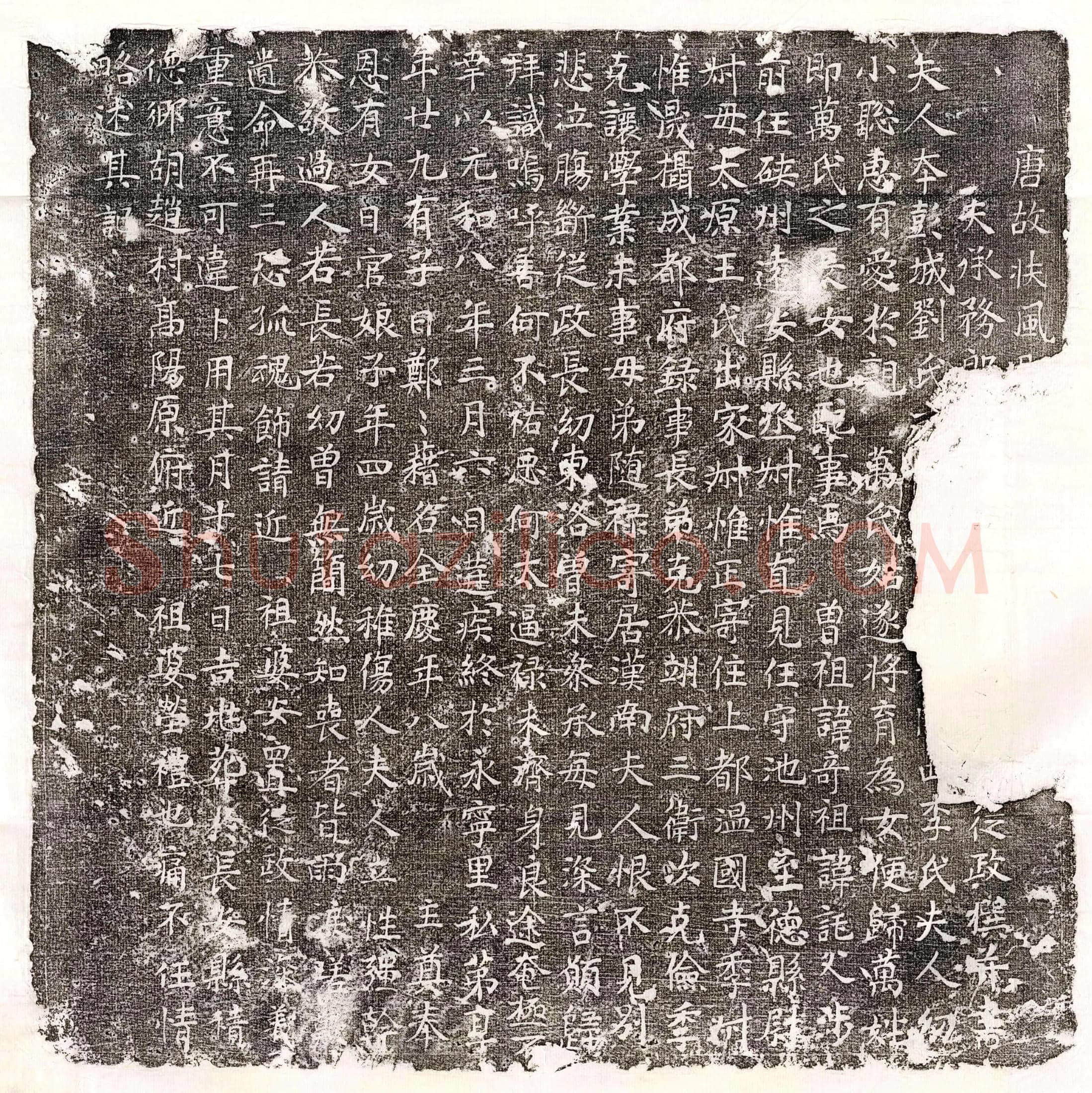唐 张君妻崔氏 墓誌