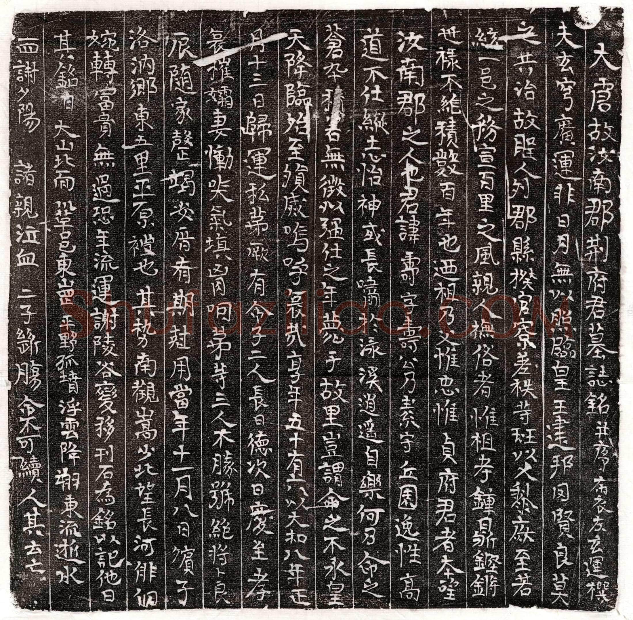 唐 李震妻裴清 墓誌