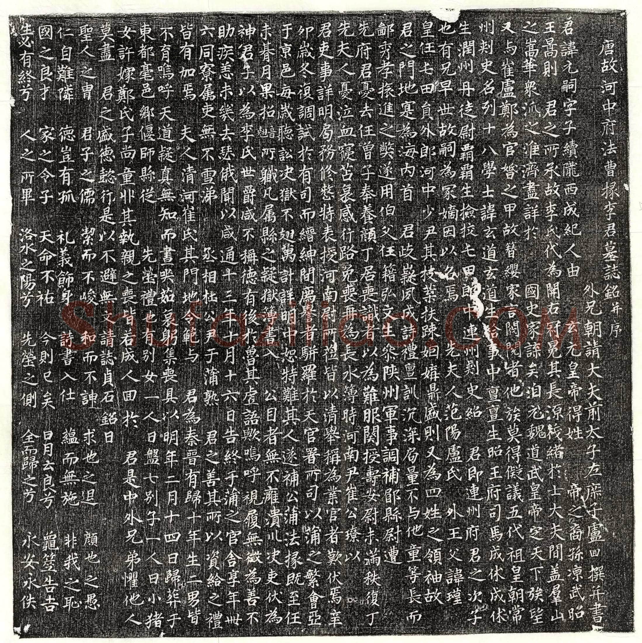 唐李元嗣墓誌(唐故河中府法曹掾李君墓誌铭并序)