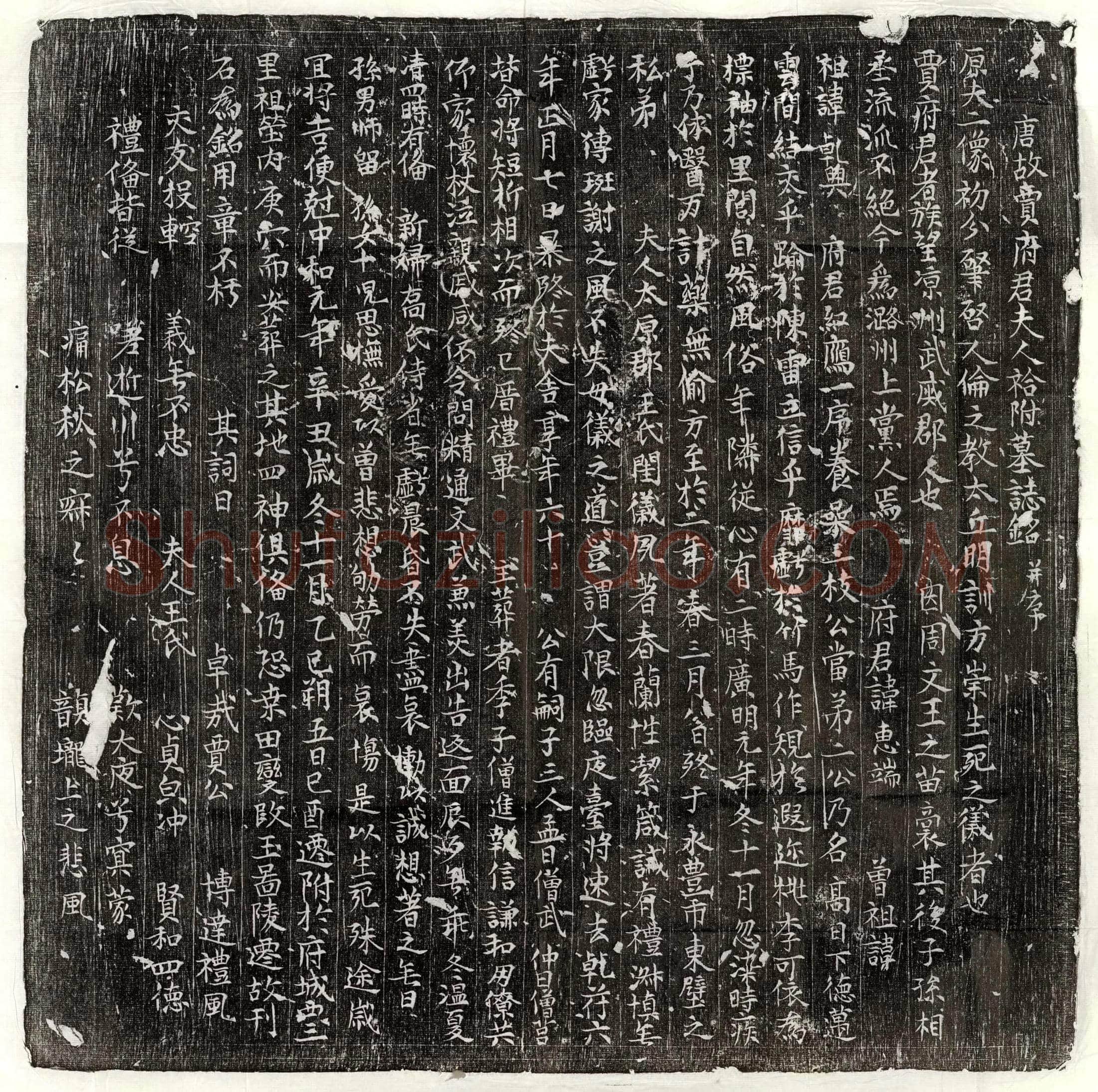 唐贾惠端、贾惠端妻王氏墓誌(唐故贾府君夫人祫附墓誌铭并序)