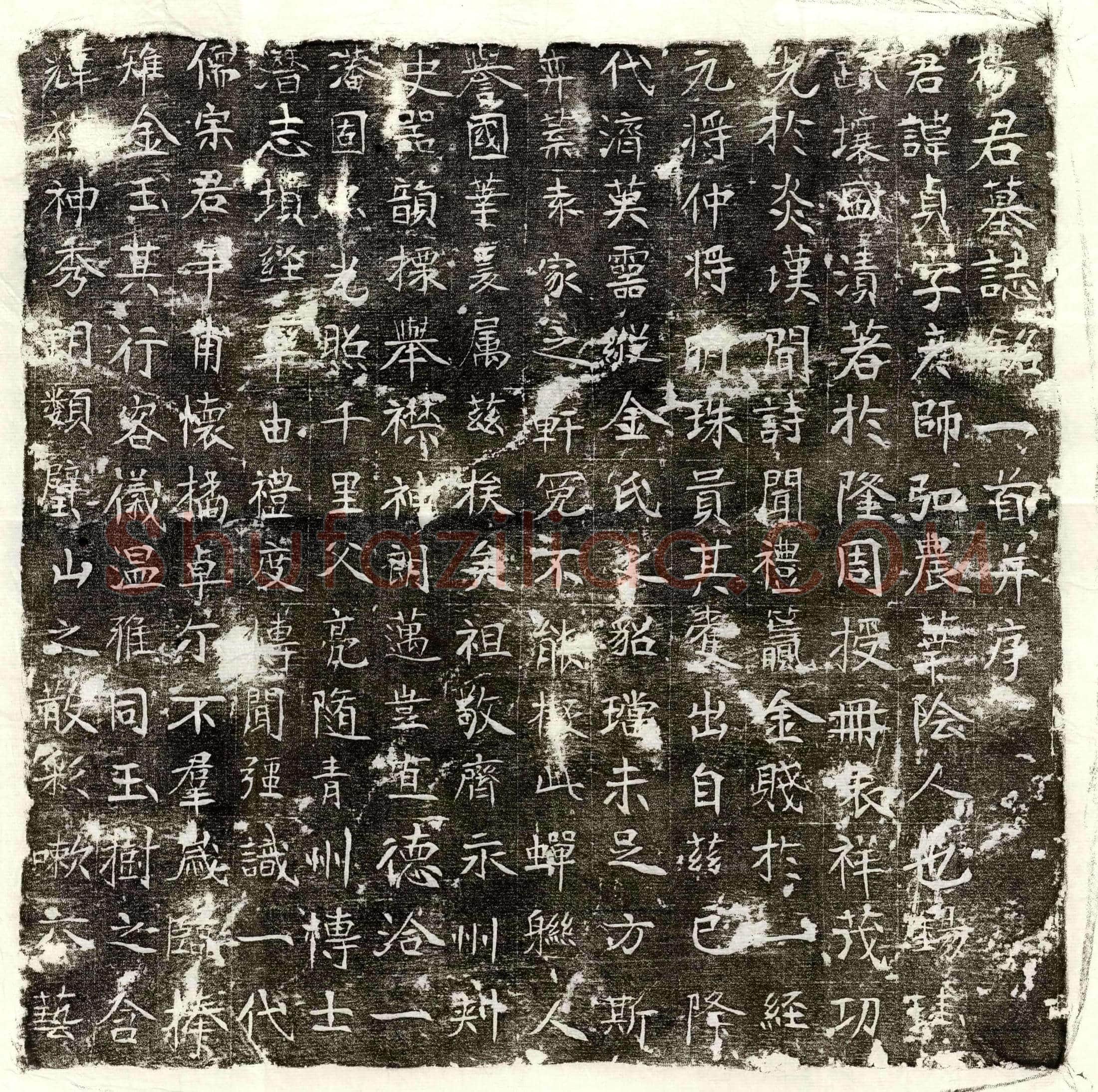 唐杨贞墓誌(杨君墓誌铭一首并序)
