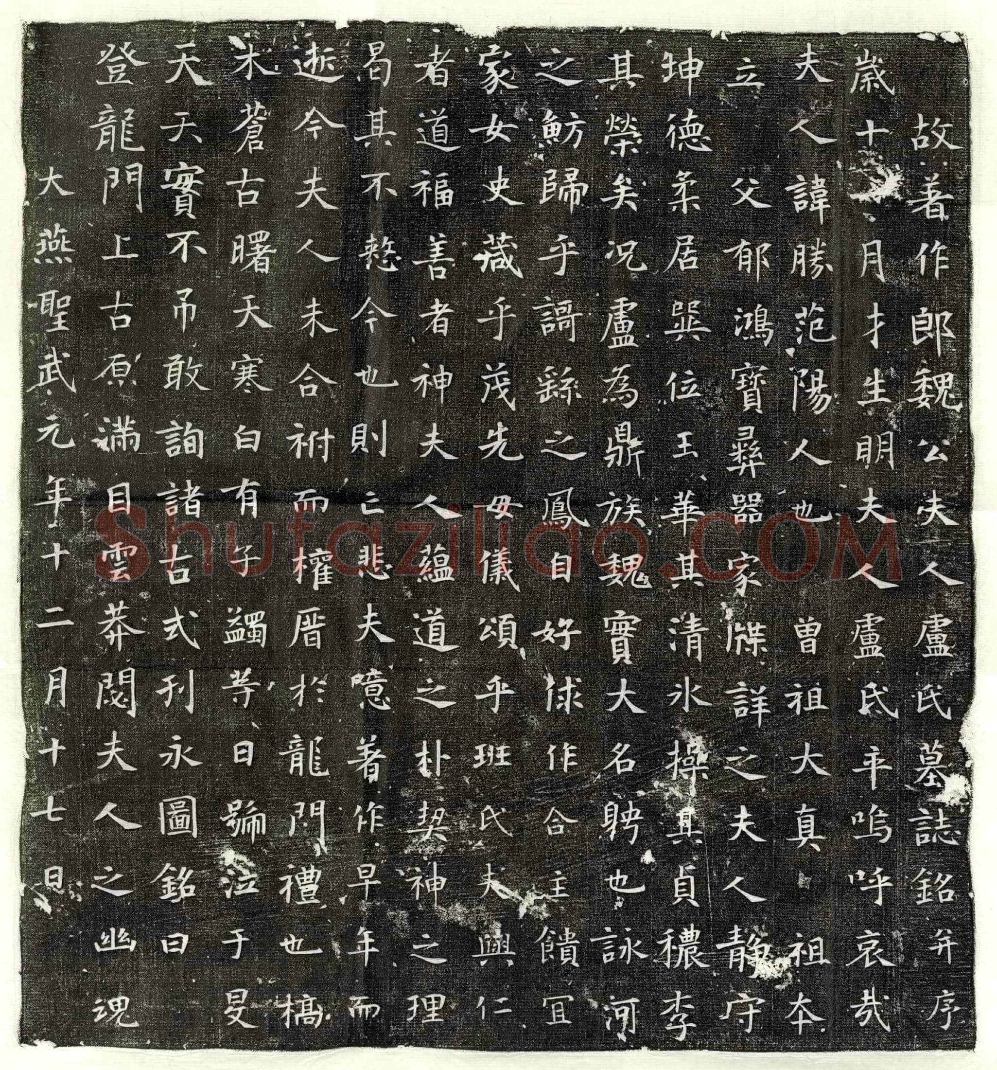 唐 杨贞 墓誌