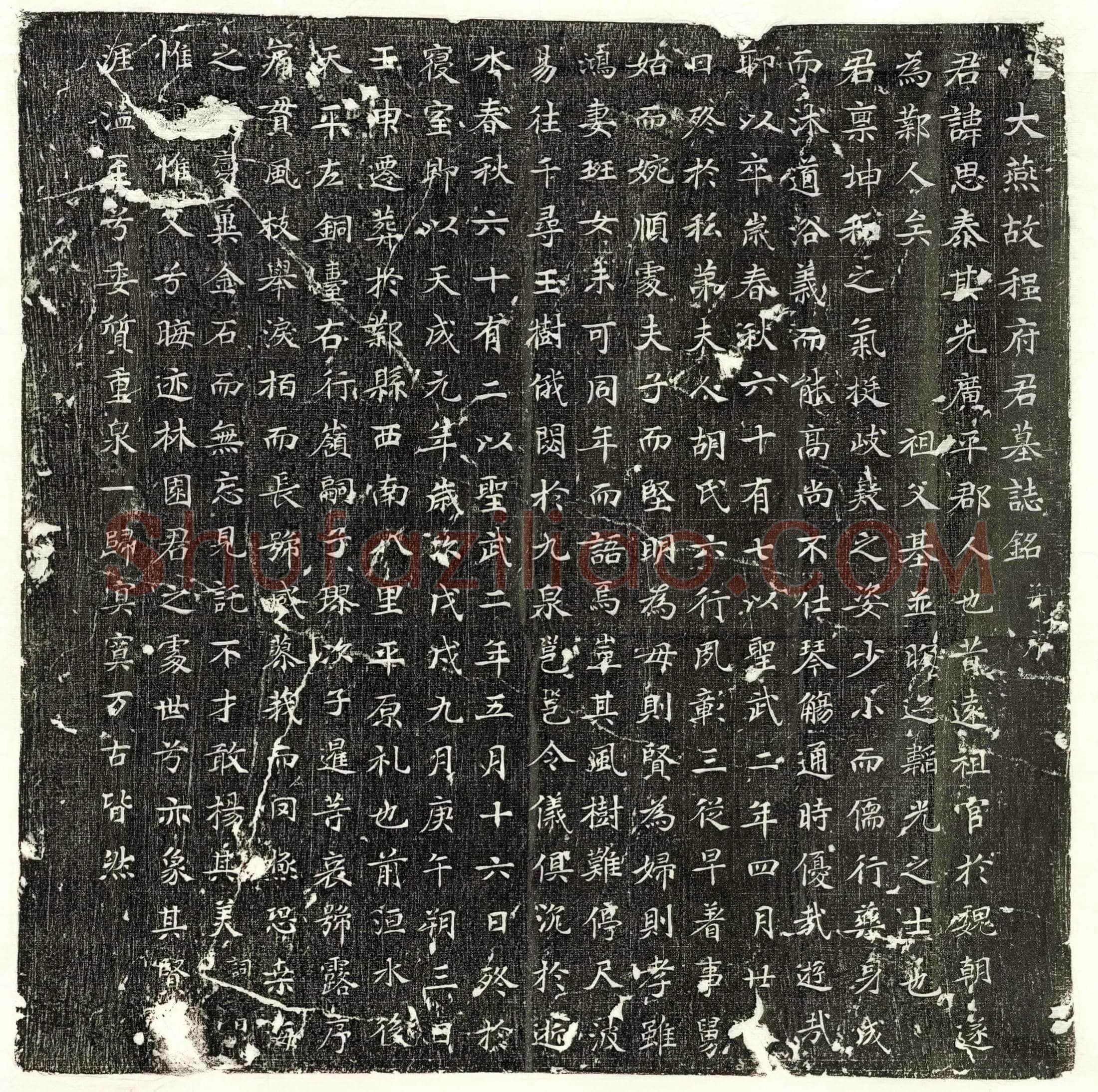 唐 李珍 墓誌