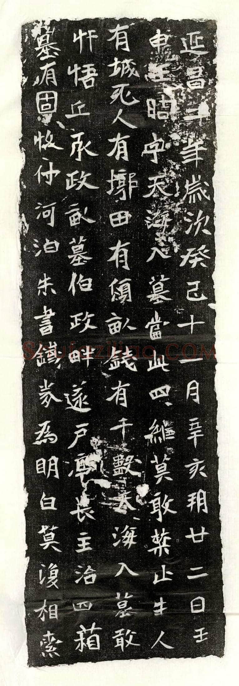 民国 赵纯正 墓誌
