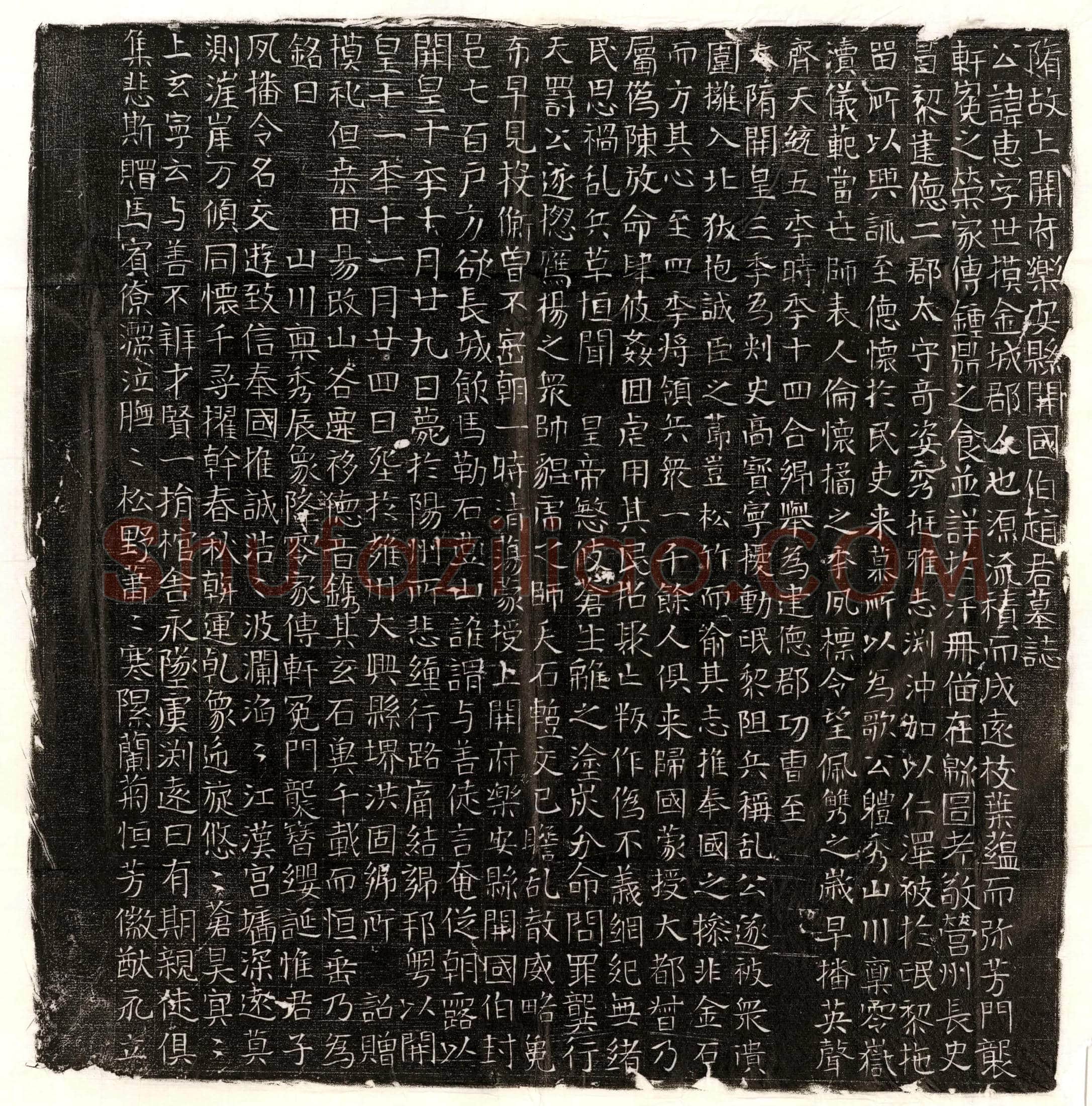 隋赵惠墓誌(隋故上开府乐安县开国伯赵君墓誌)