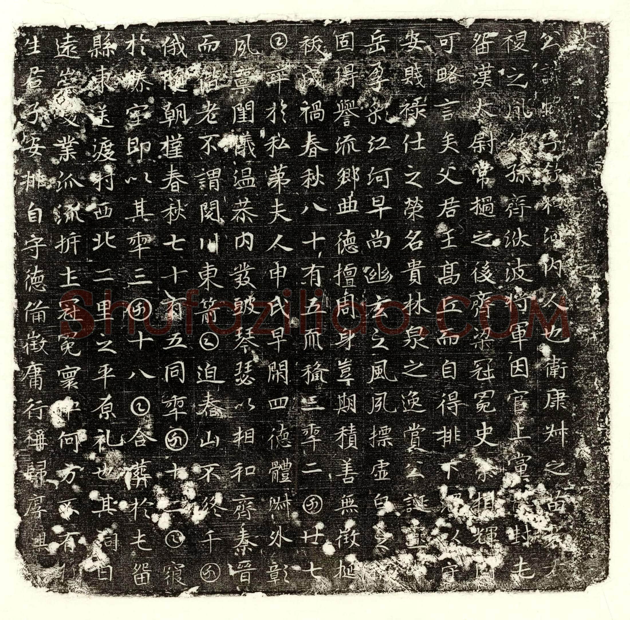 唐 戎进 墓誌