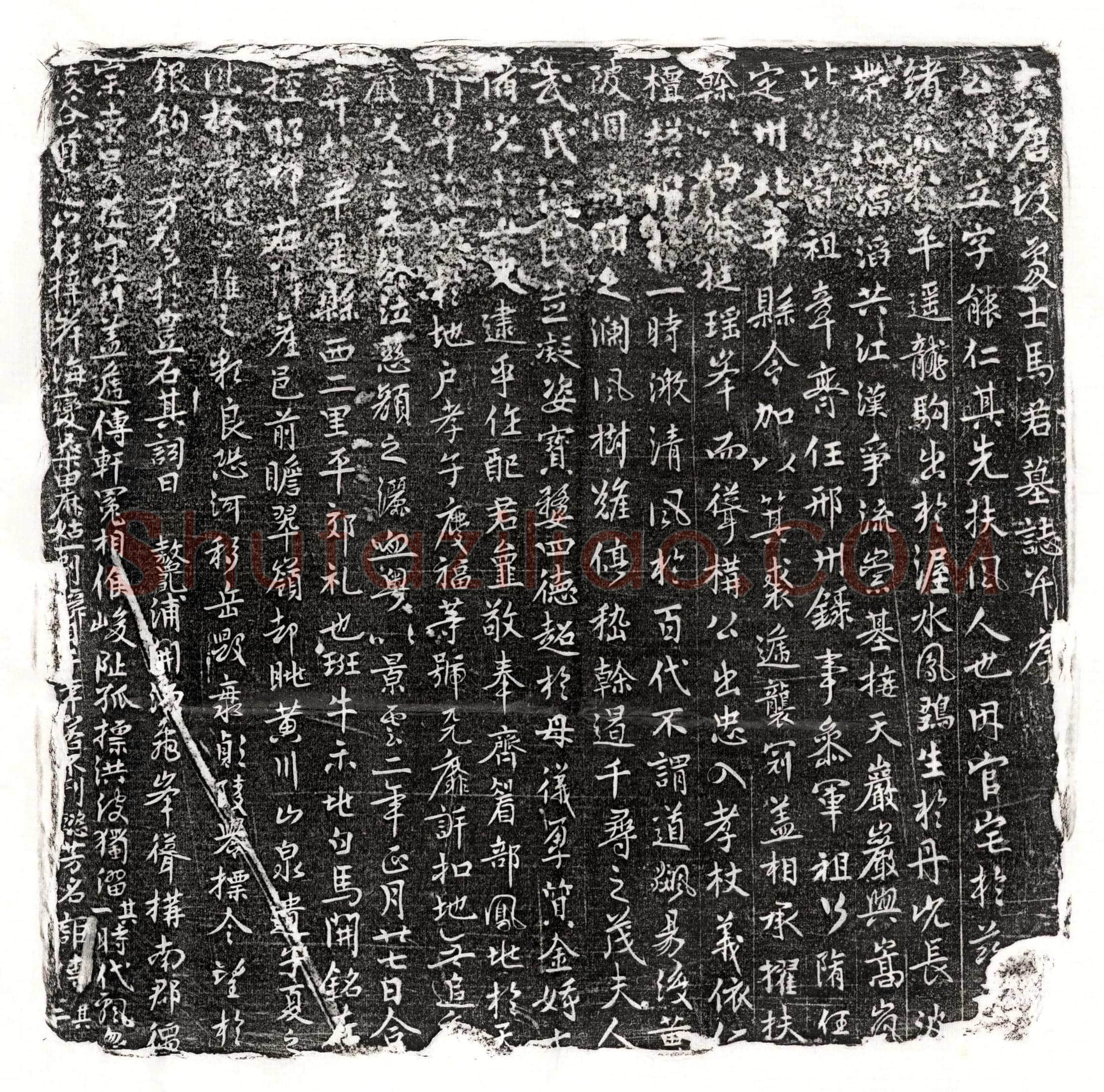唐 贺兰暠 墓誌