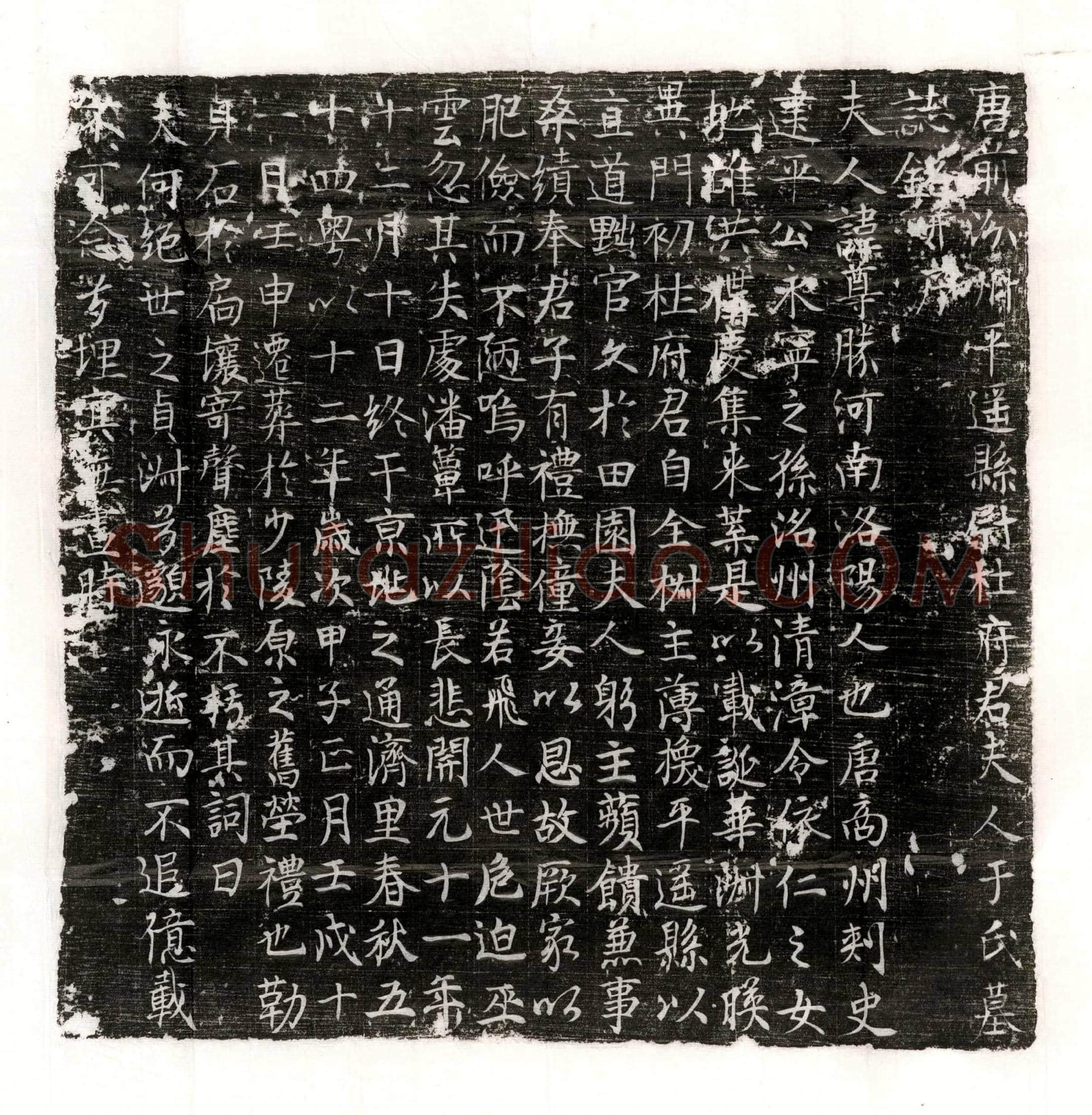 唐 萨孤吴仁 墓誌