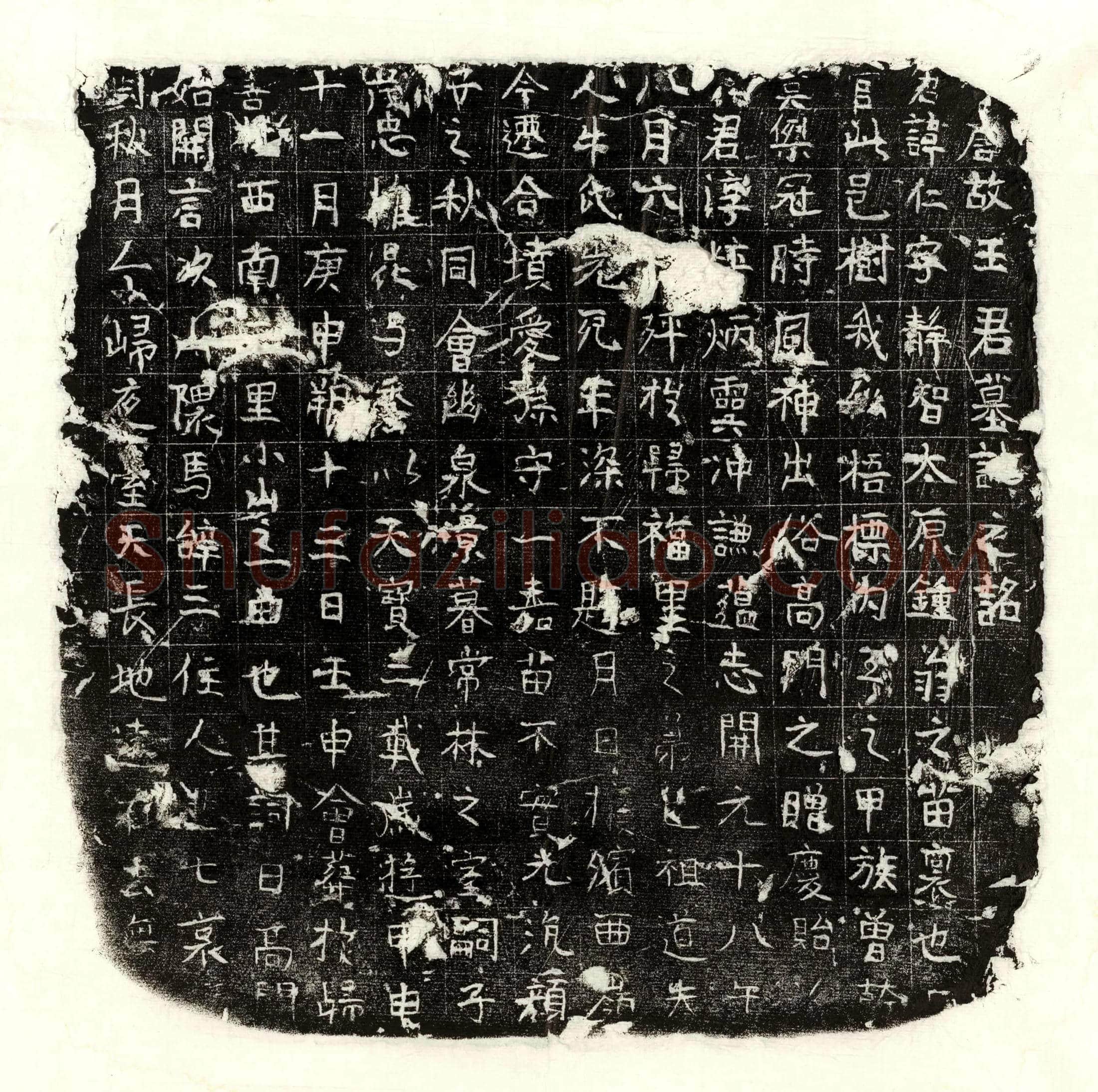 唐 赵伏盖 墓誌