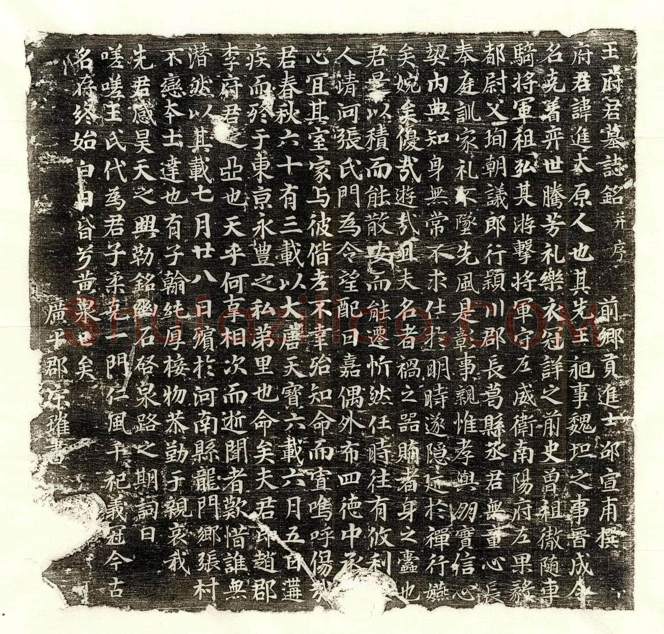 唐 徐德妻姜化 墓誌