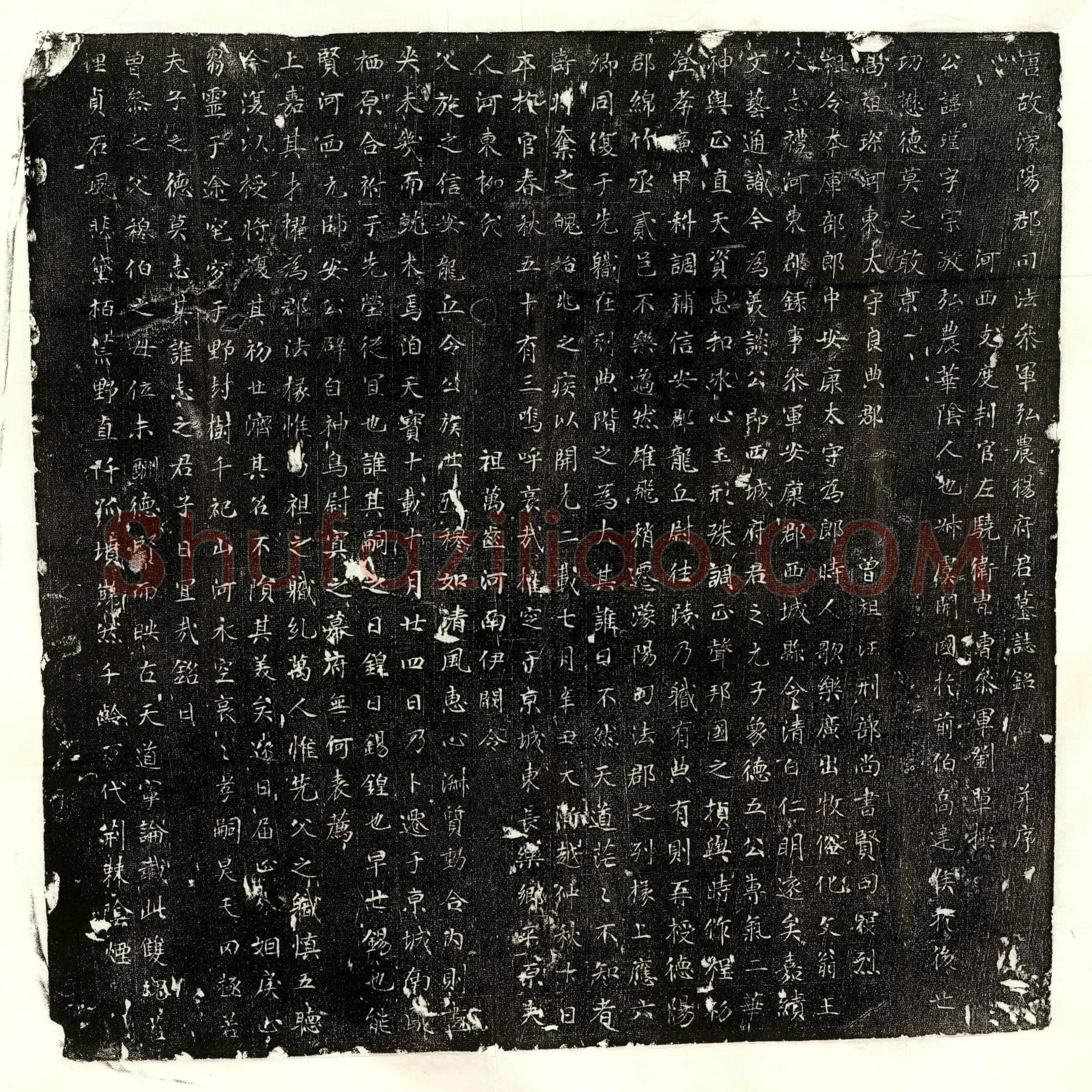 唐杨瑾墓誌(唐故濛阳郡司法参军弘农杨府君墓誌铭并序)