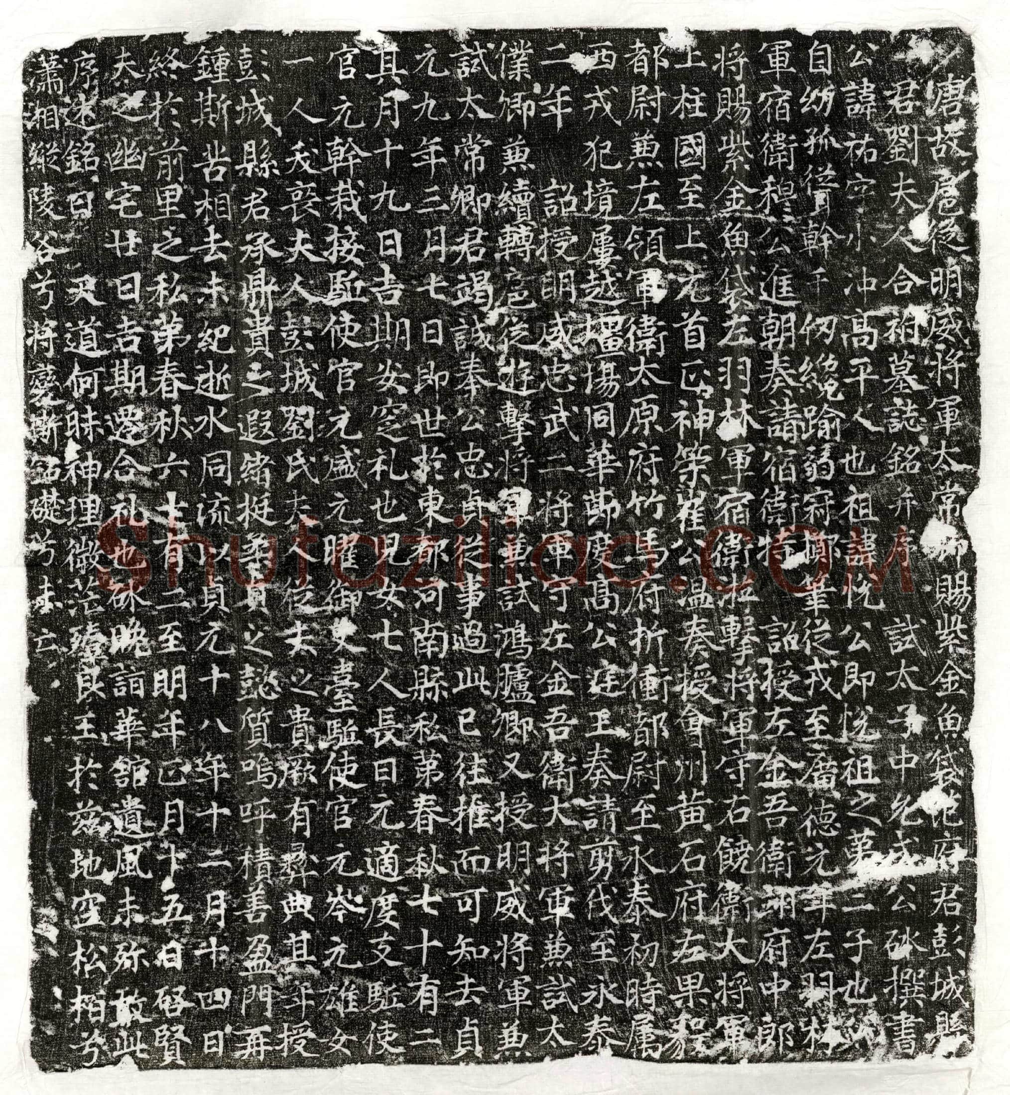 唐 刘君妻苑氏 墓誌