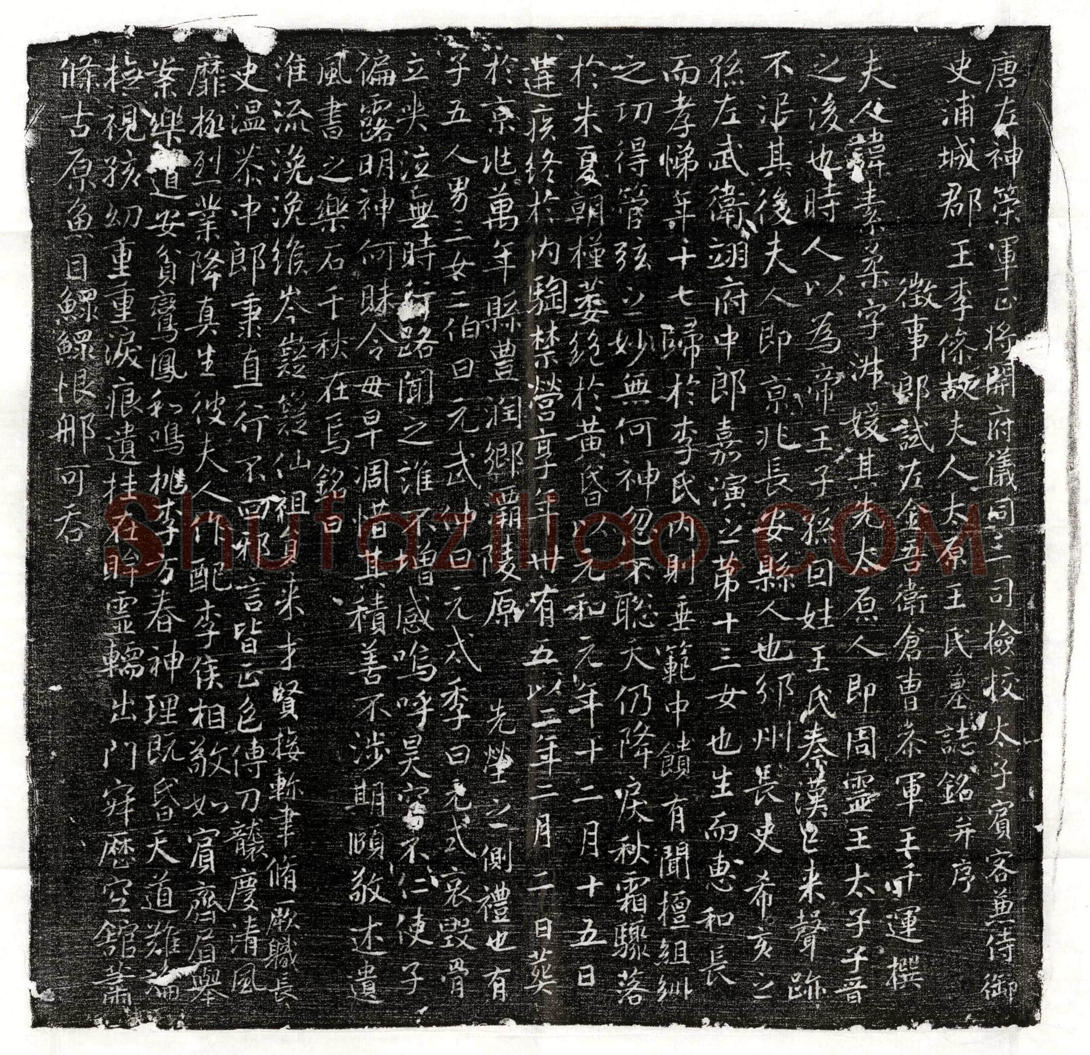 唐 崔玄泰 墓誌