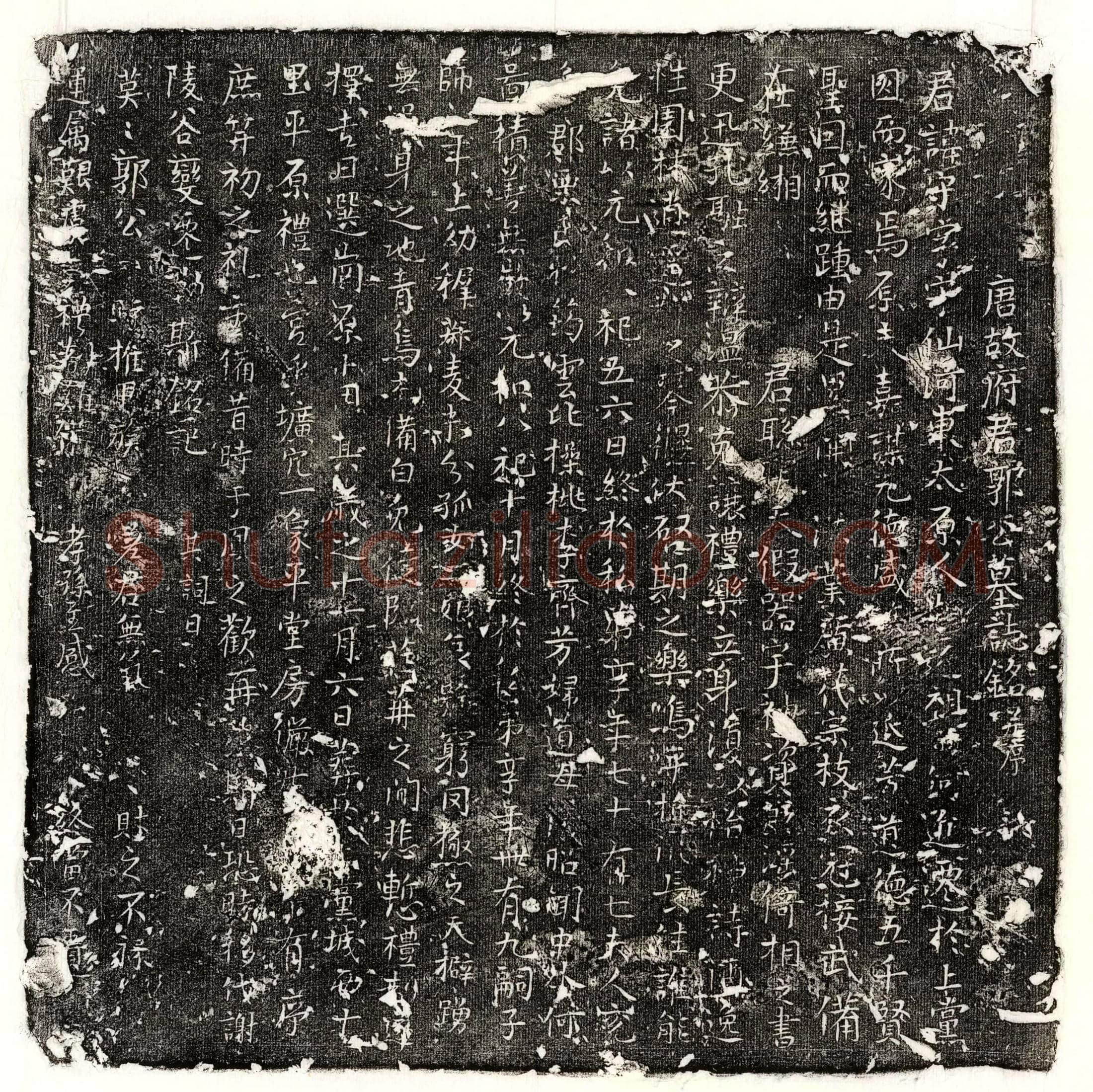 唐 周义 墓誌