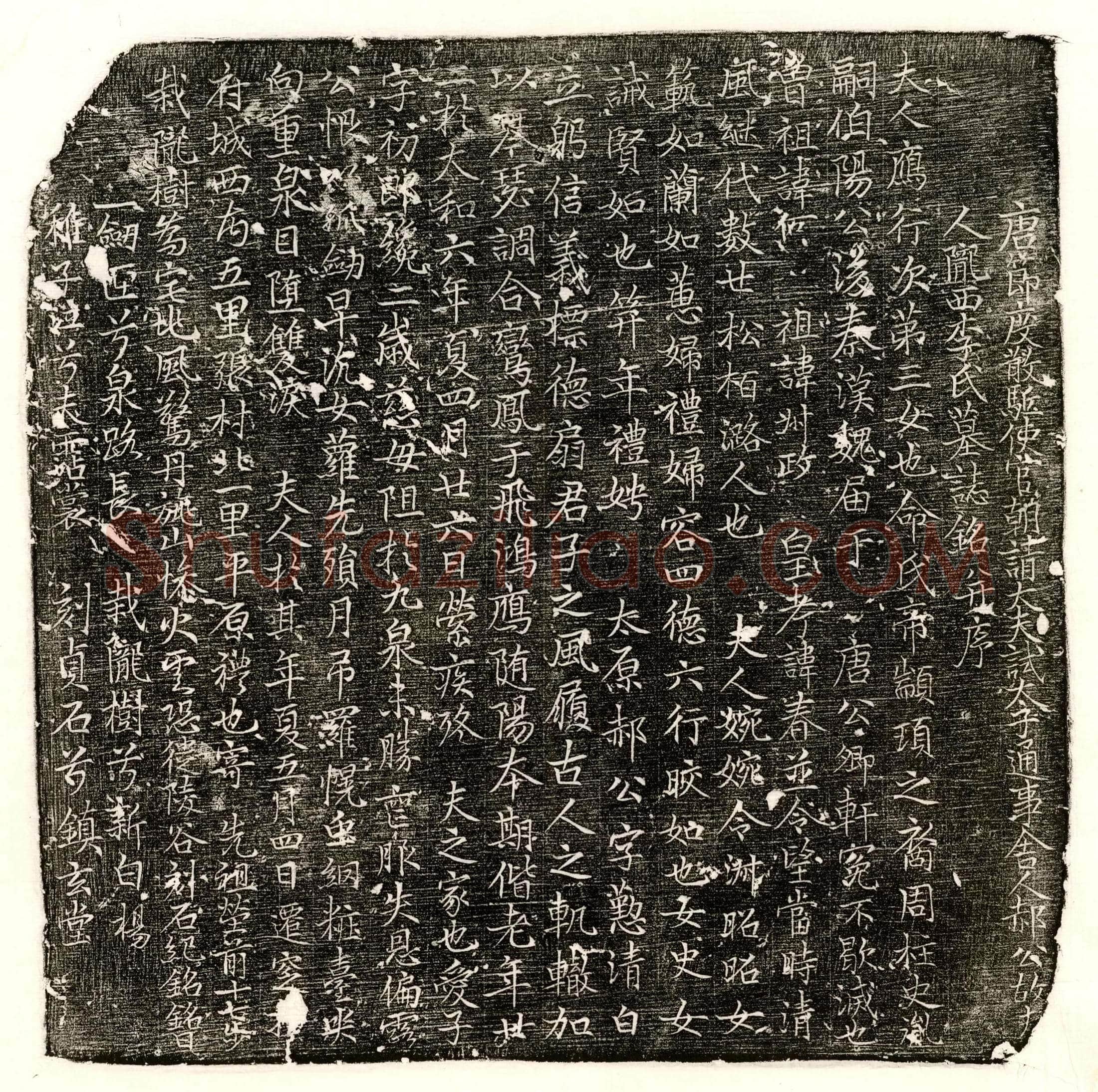 唐 蔡君妻□氏 墓誌