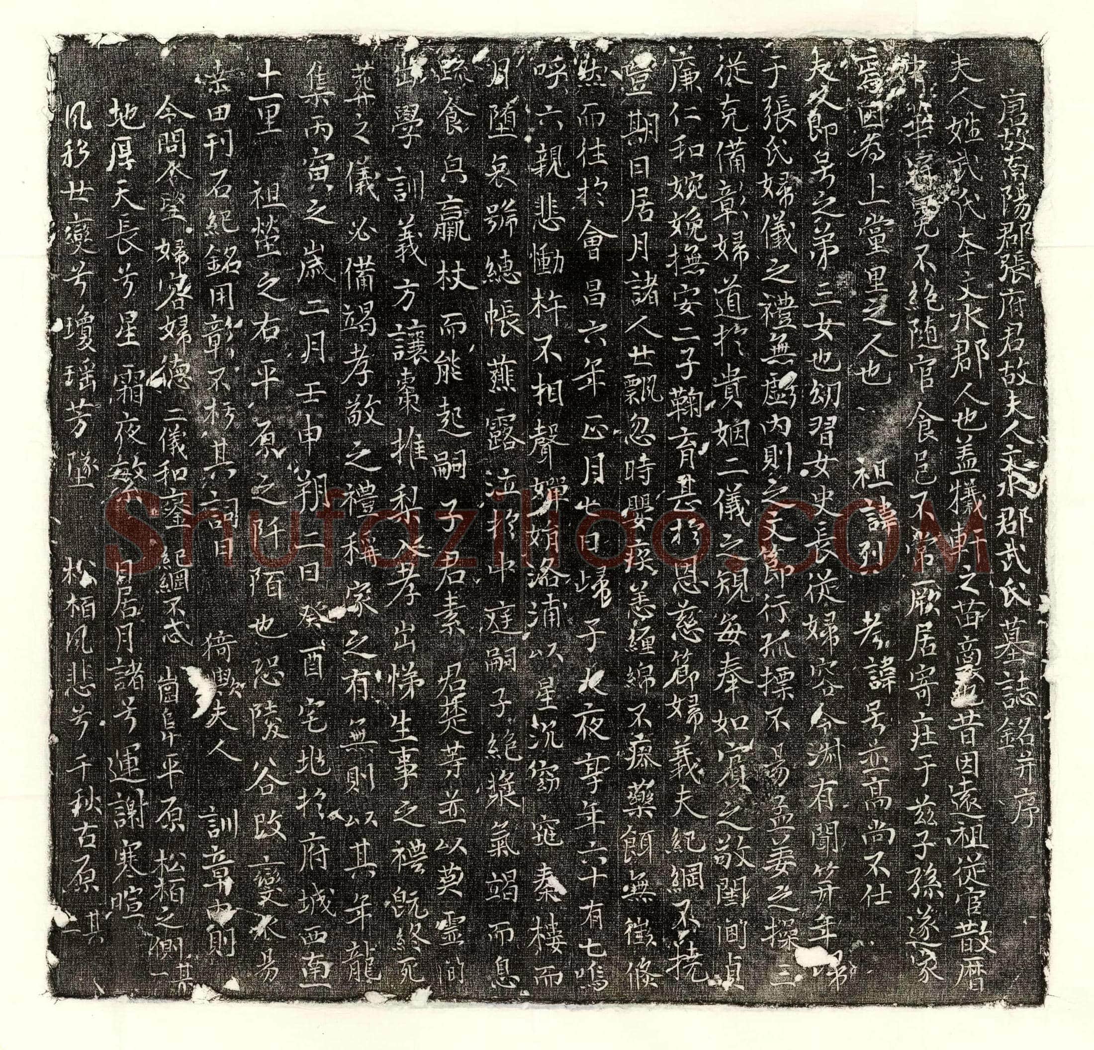 唐 虞思进 墓誌