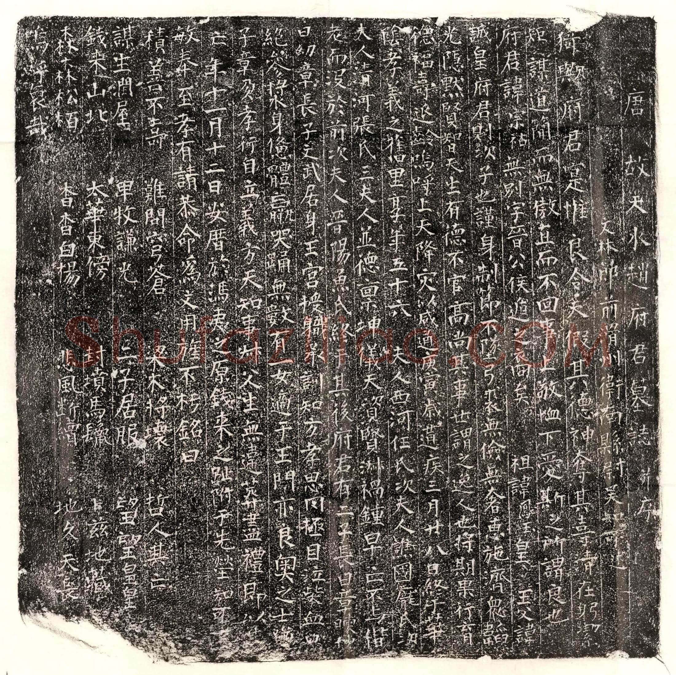 唐赵宗祜墓誌(唐故天水赵府君墓誌并序)