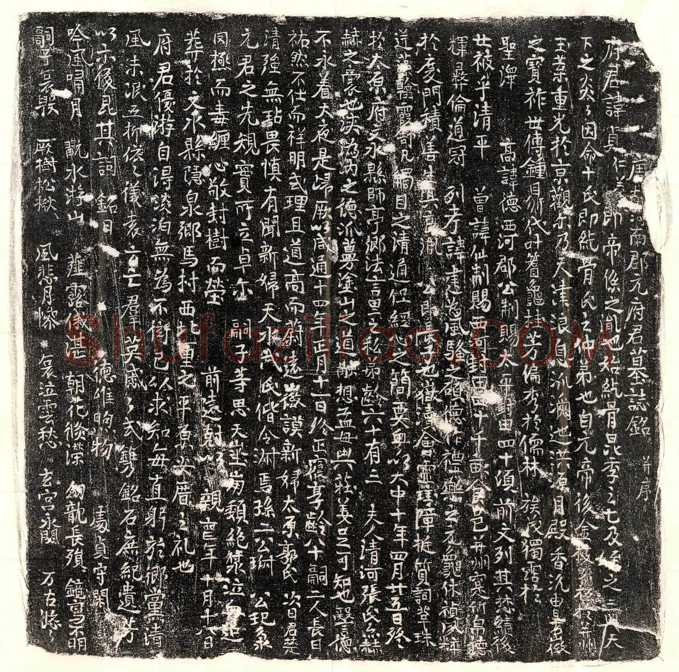 唐元贞墓誌(唐故河南郡元府君墓誌铭并序)