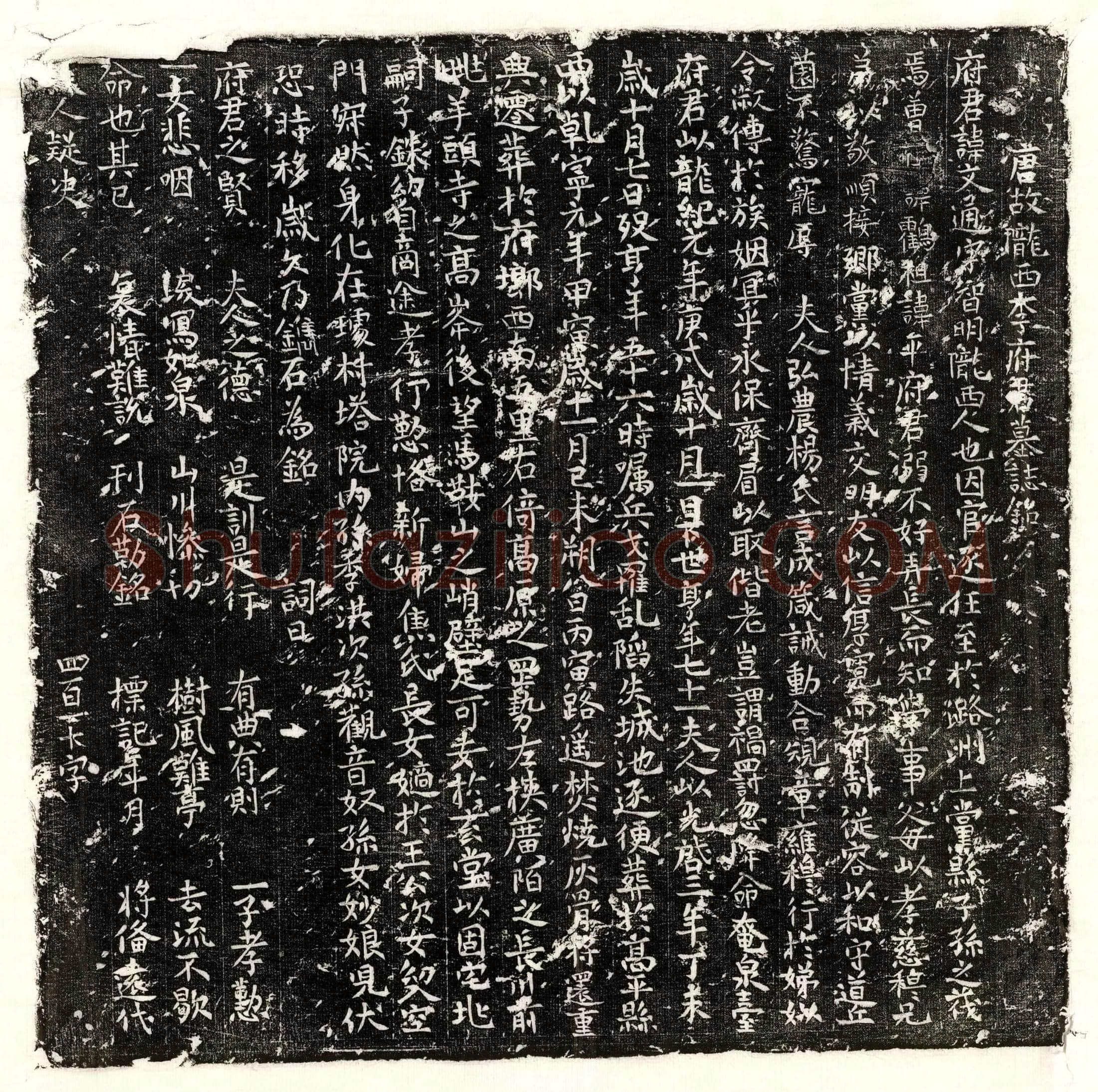 唐 冯本 墓誌