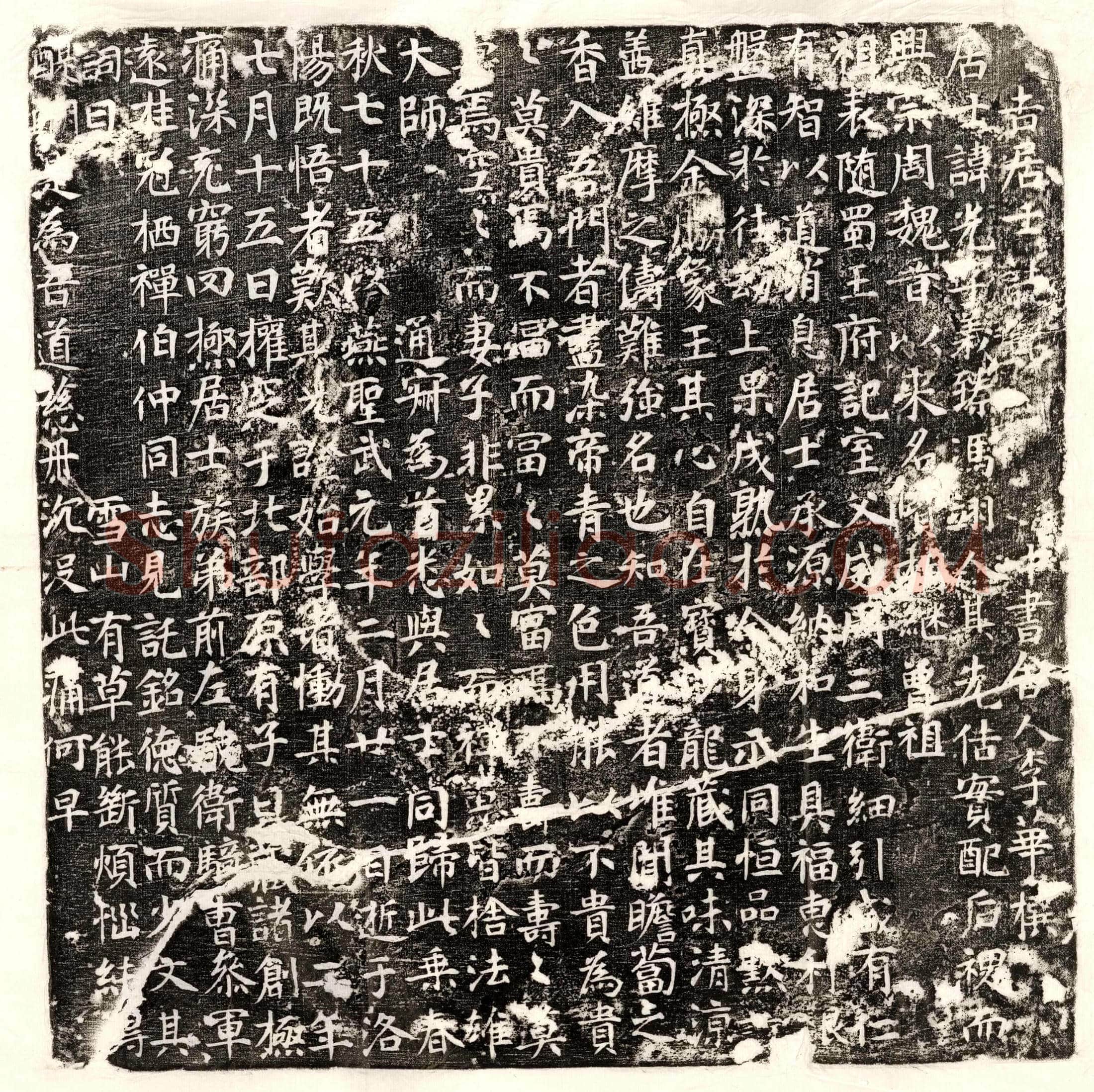 唐 张仁伦 墓誌