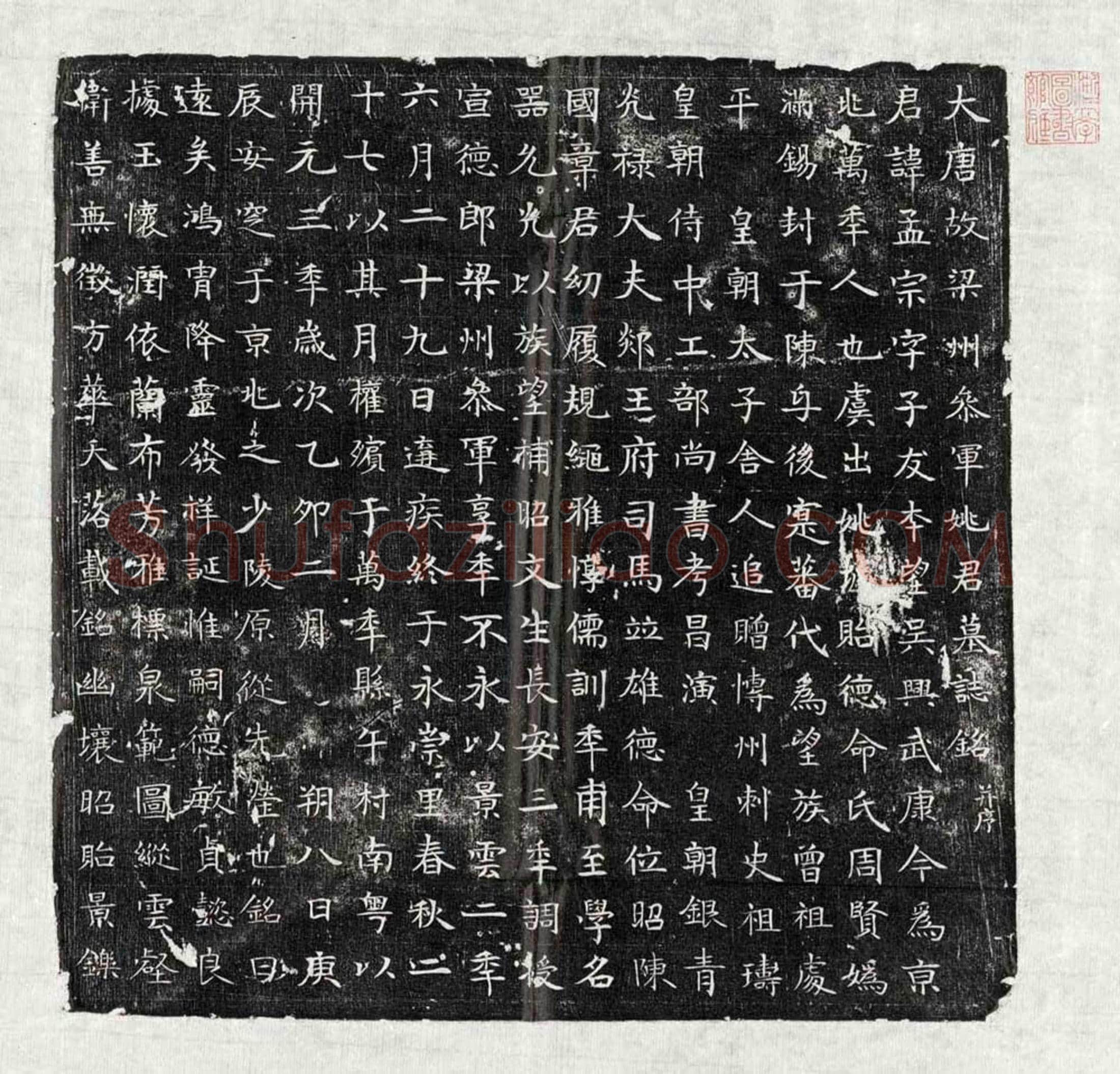 唐 秦洽 墓誌