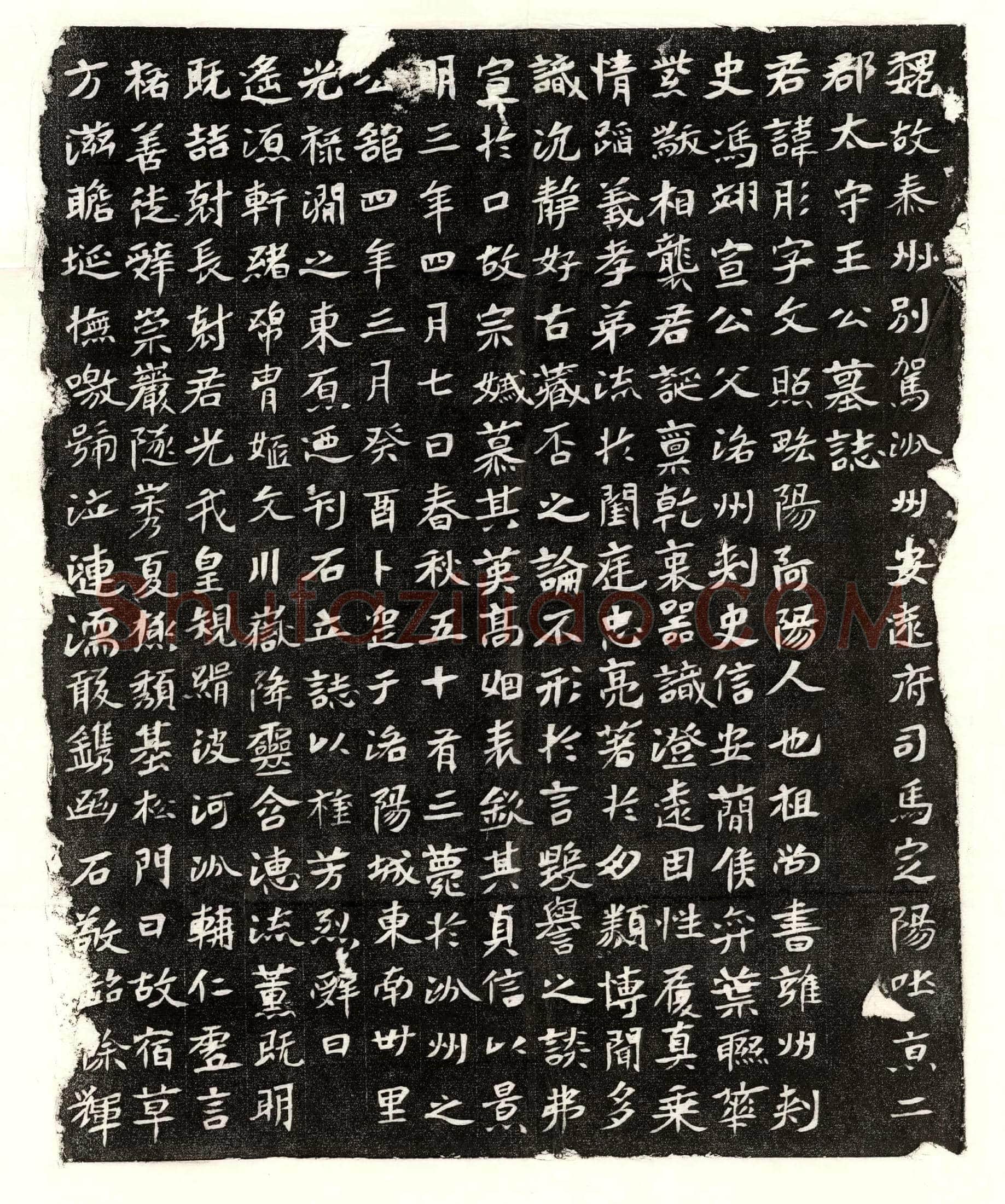 北朝王彤墓誌(魏故泰州别驾汾州安远府司马定阳吐京二郡太守王公墓誌)