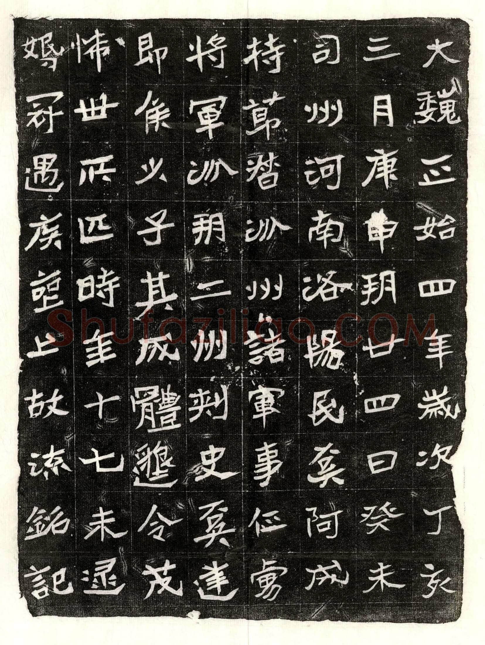 唐 崔訢妻白广智 墓誌