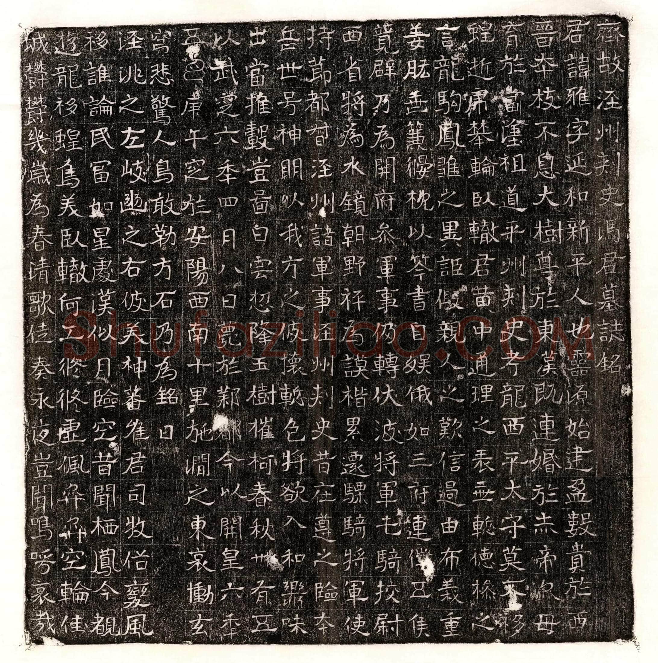 唐 王君妻窦氏 墓誌
