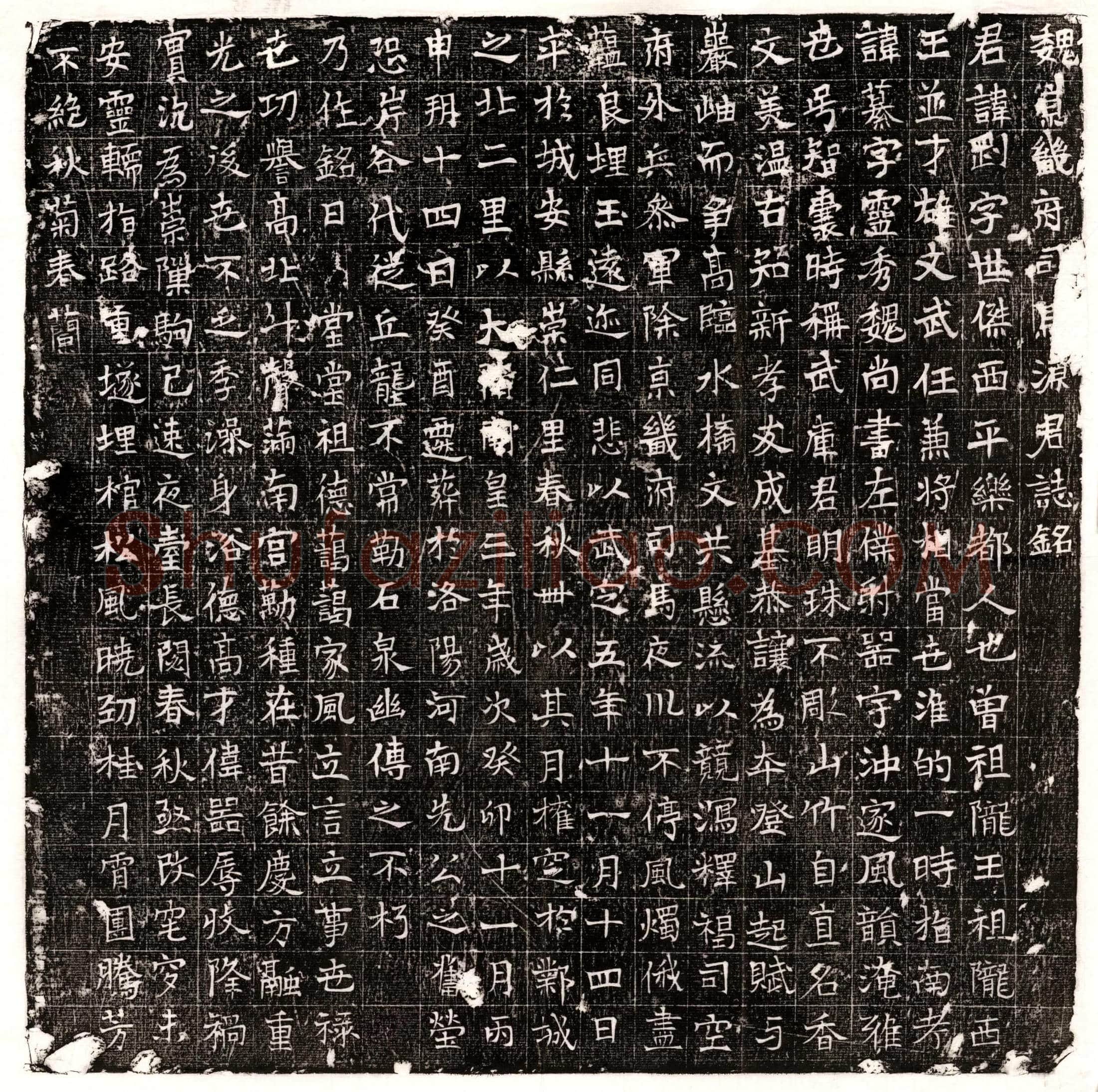 唐 王协 墓誌