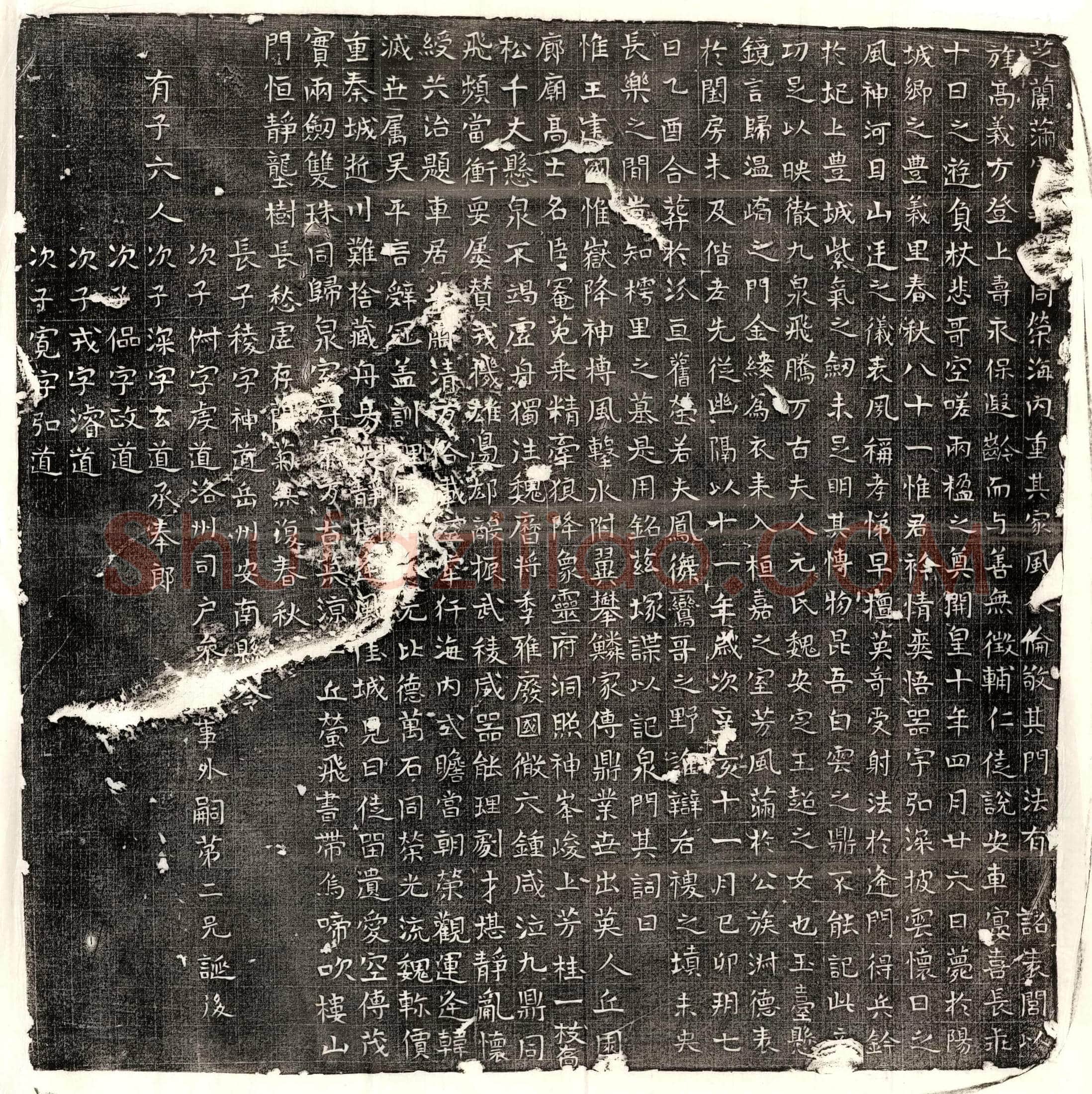 隋裴子通墓誌(齐骠骑大将军太中大夫裴君墓誌铭)