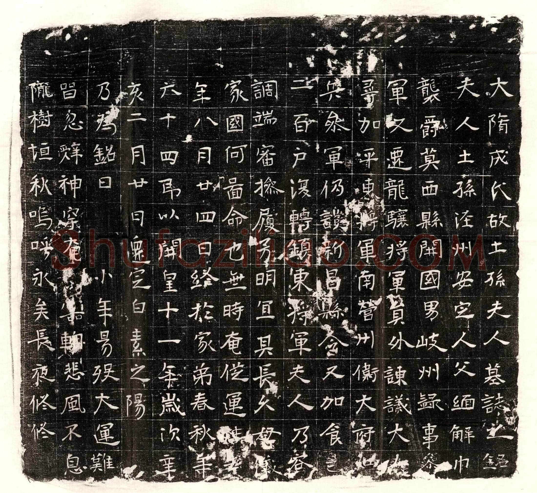 唐 王瑗 墓誌