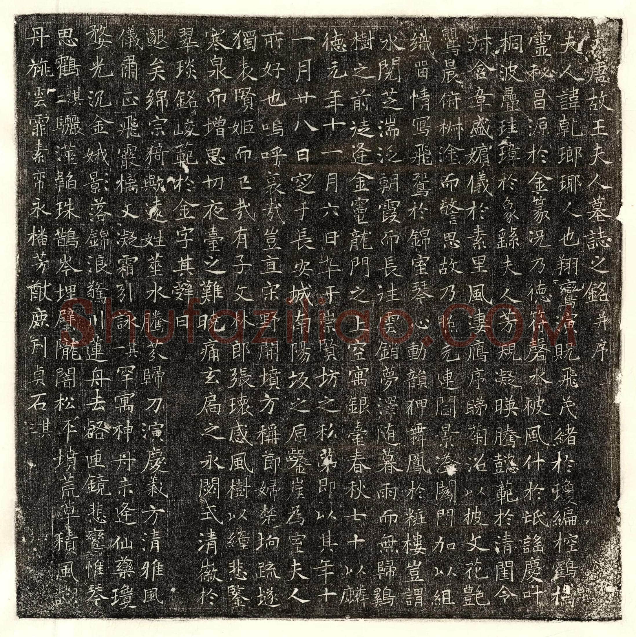 唐 卢君妻裴氏 墓誌