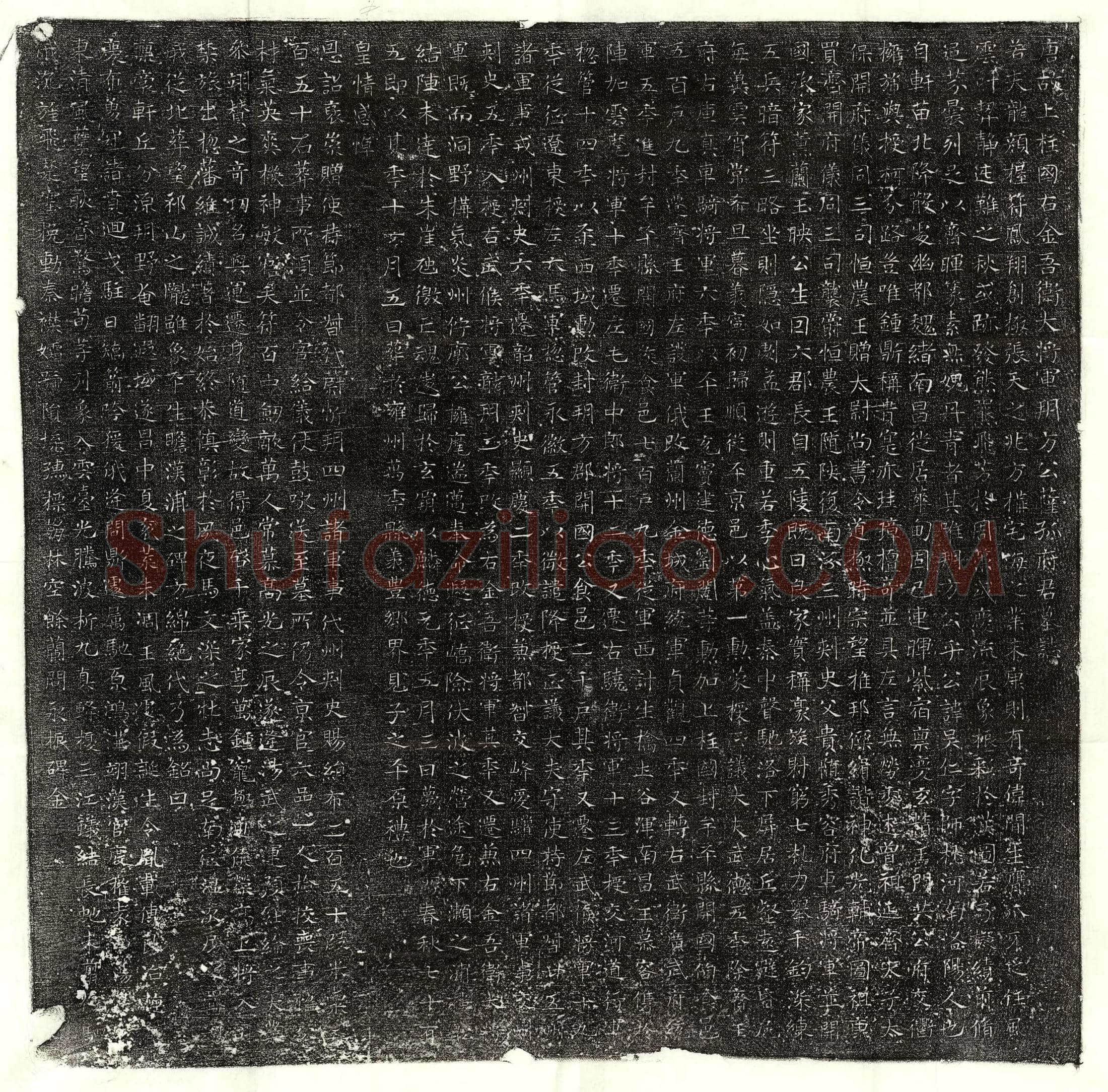 唐萨孤吴仁墓誌(唐故上柱国右金吾卫大将军朔方公萨孤府君墓誌)