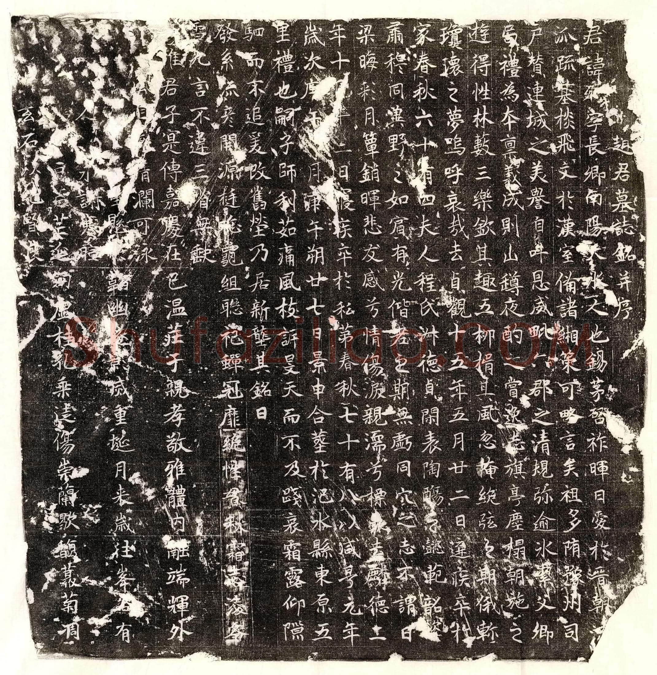 唐 霍瑨 霍瑨妻王氏 墓誌