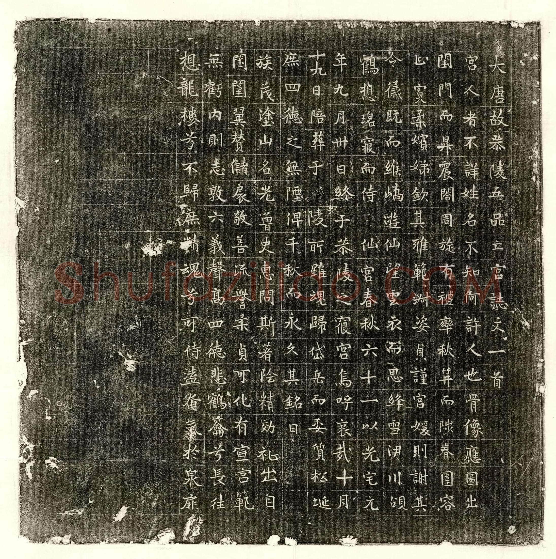 唐 张孟石 墓誌