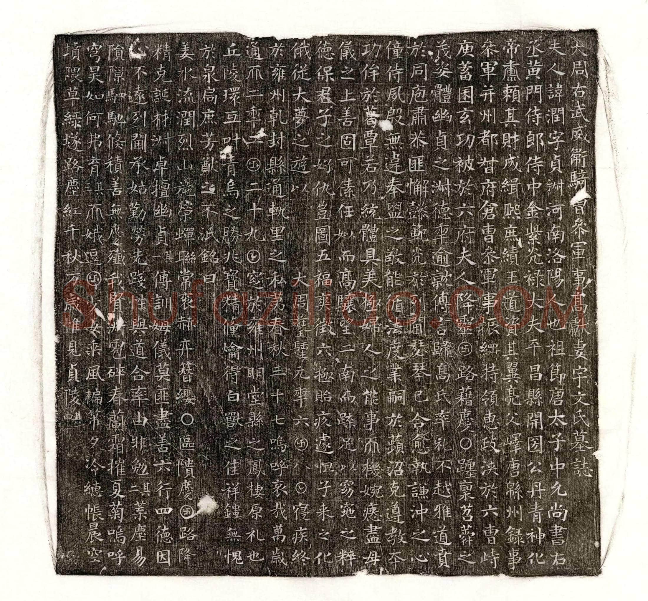 唐 李昌庭妻崔严净 墓誌