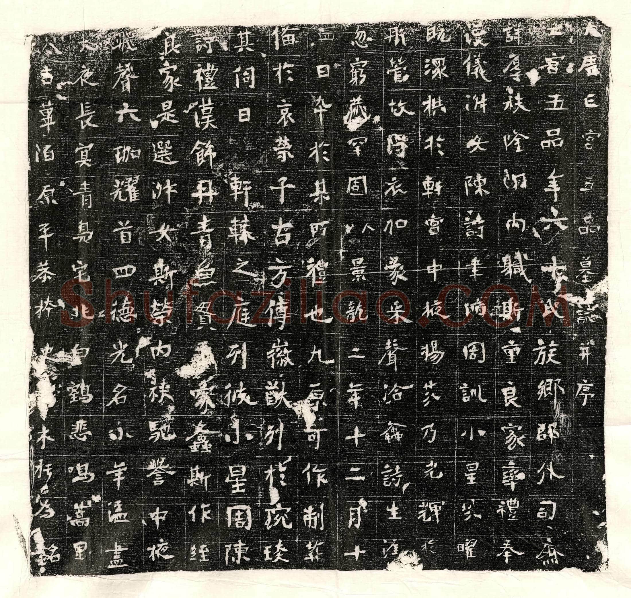 北朝 尉僧仁 墓誌