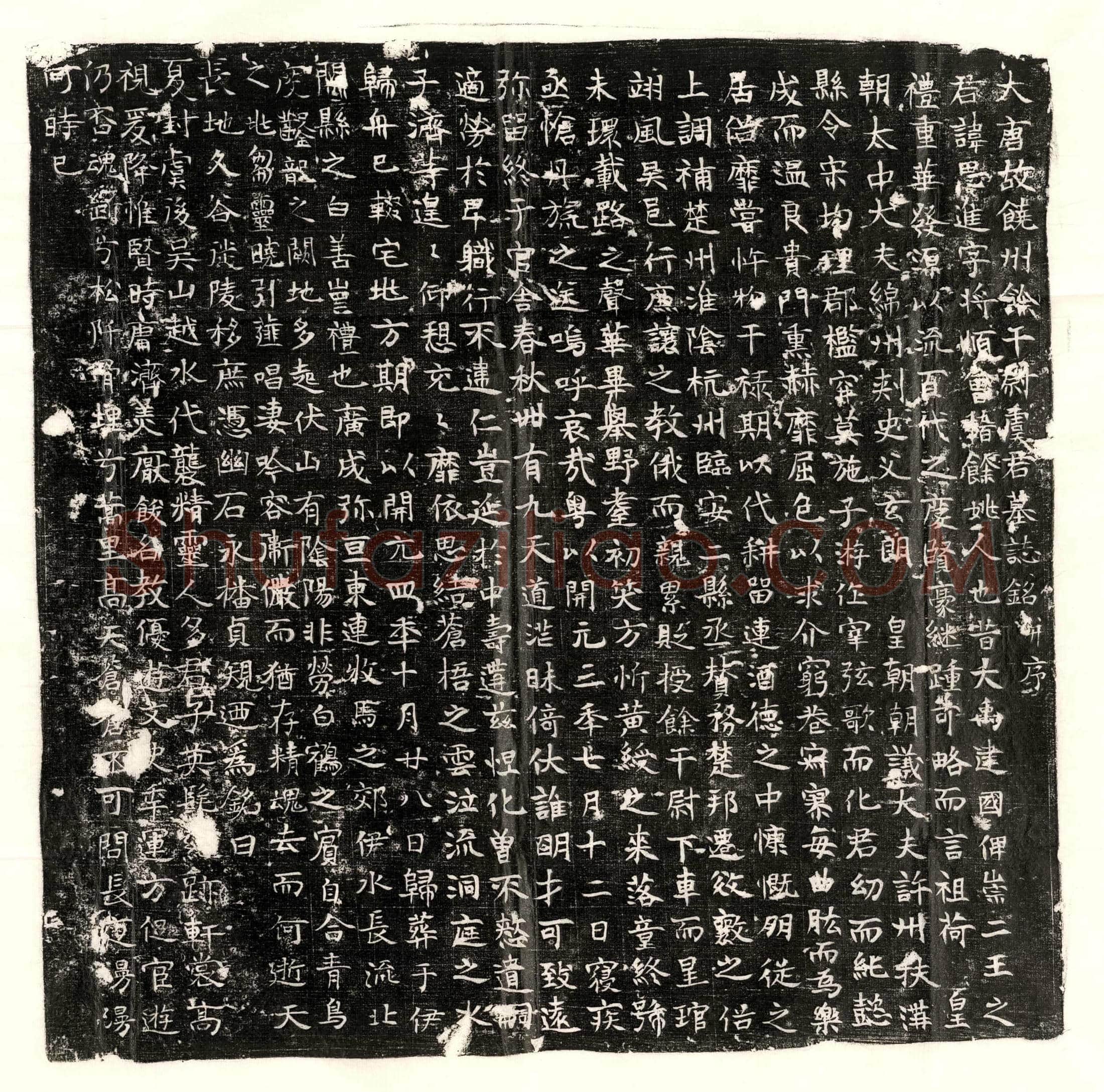 唐 高祖李渊太妃张宠则 墓誌