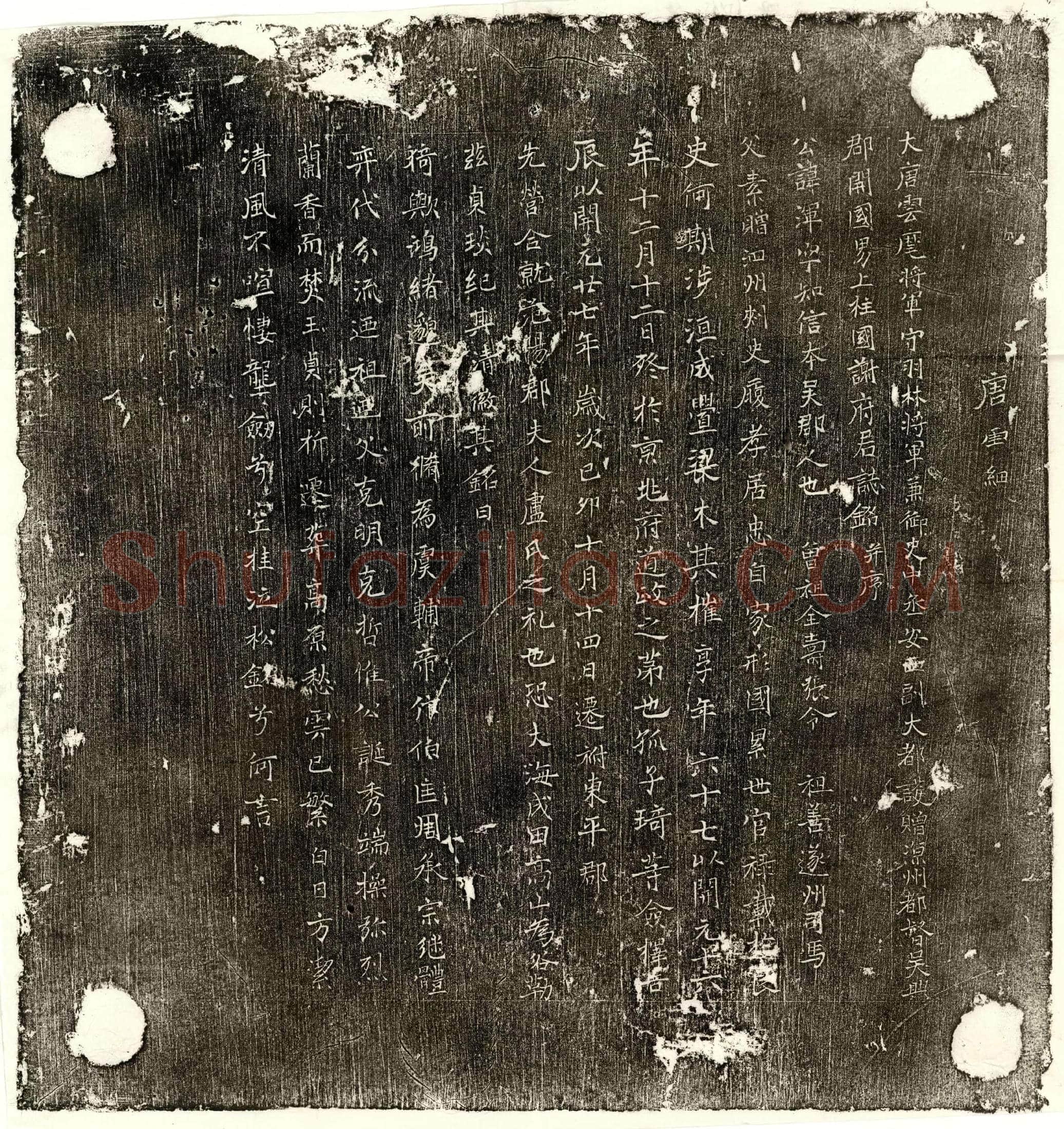 唐谢浑墓誌(大唐云麾将军守羽林将军兼御史中丞安西副大都护赠凉州都督吴兴郡开国男上柱国谢府君誌铭并序)