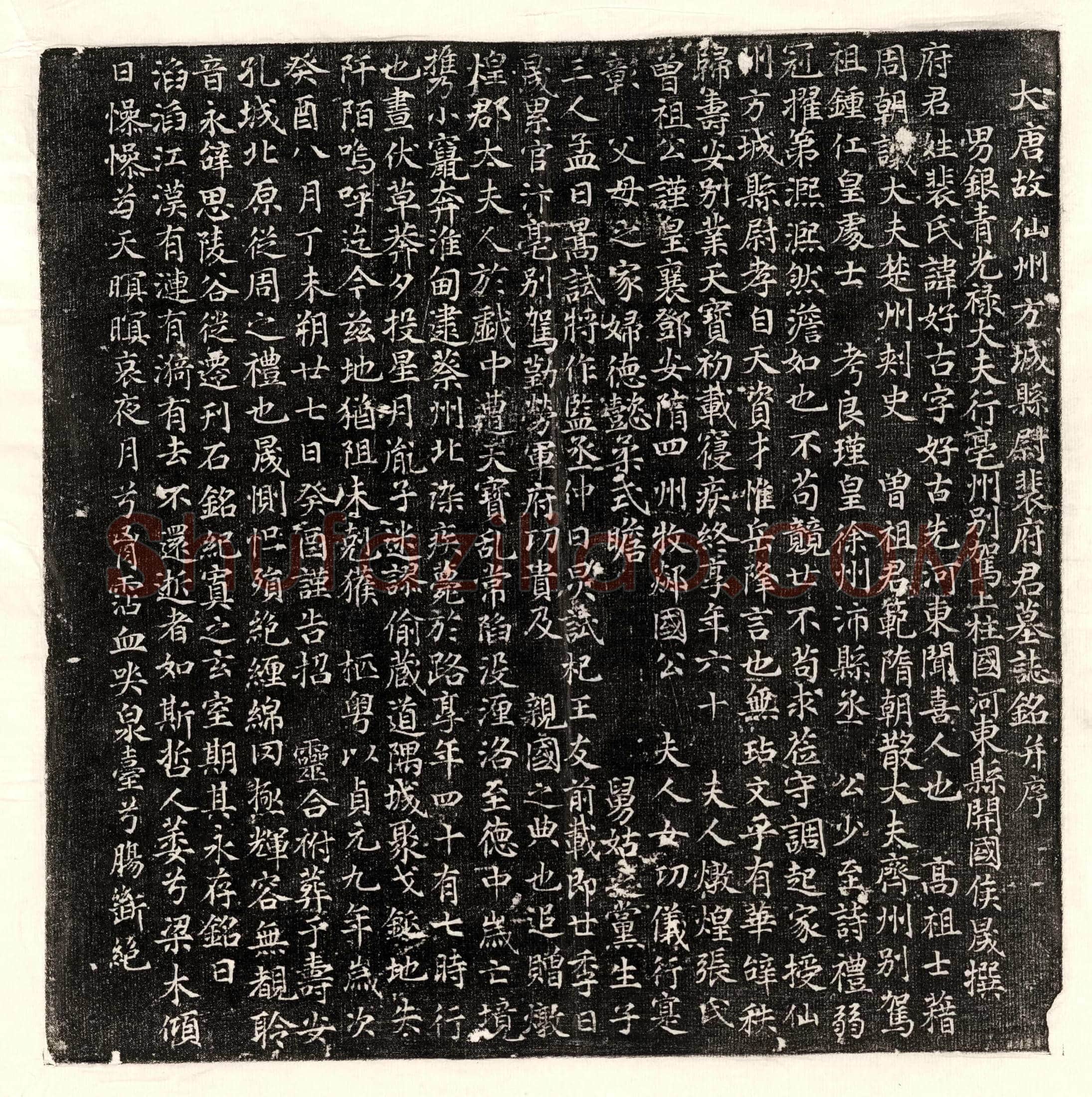 唐裴好古墓誌(大唐故仙州方城县尉裴府君墓誌铭并序)