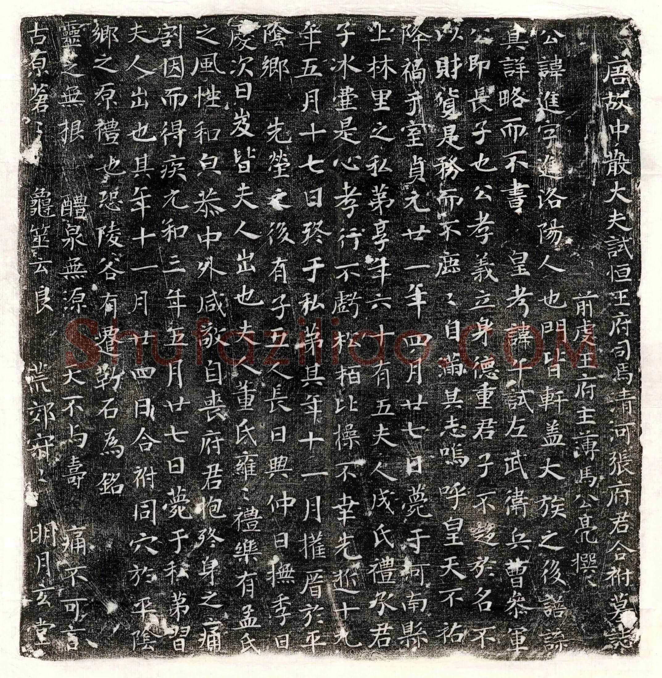 唐 宋庭珍 宋庭珍妻杨氏 墓誌