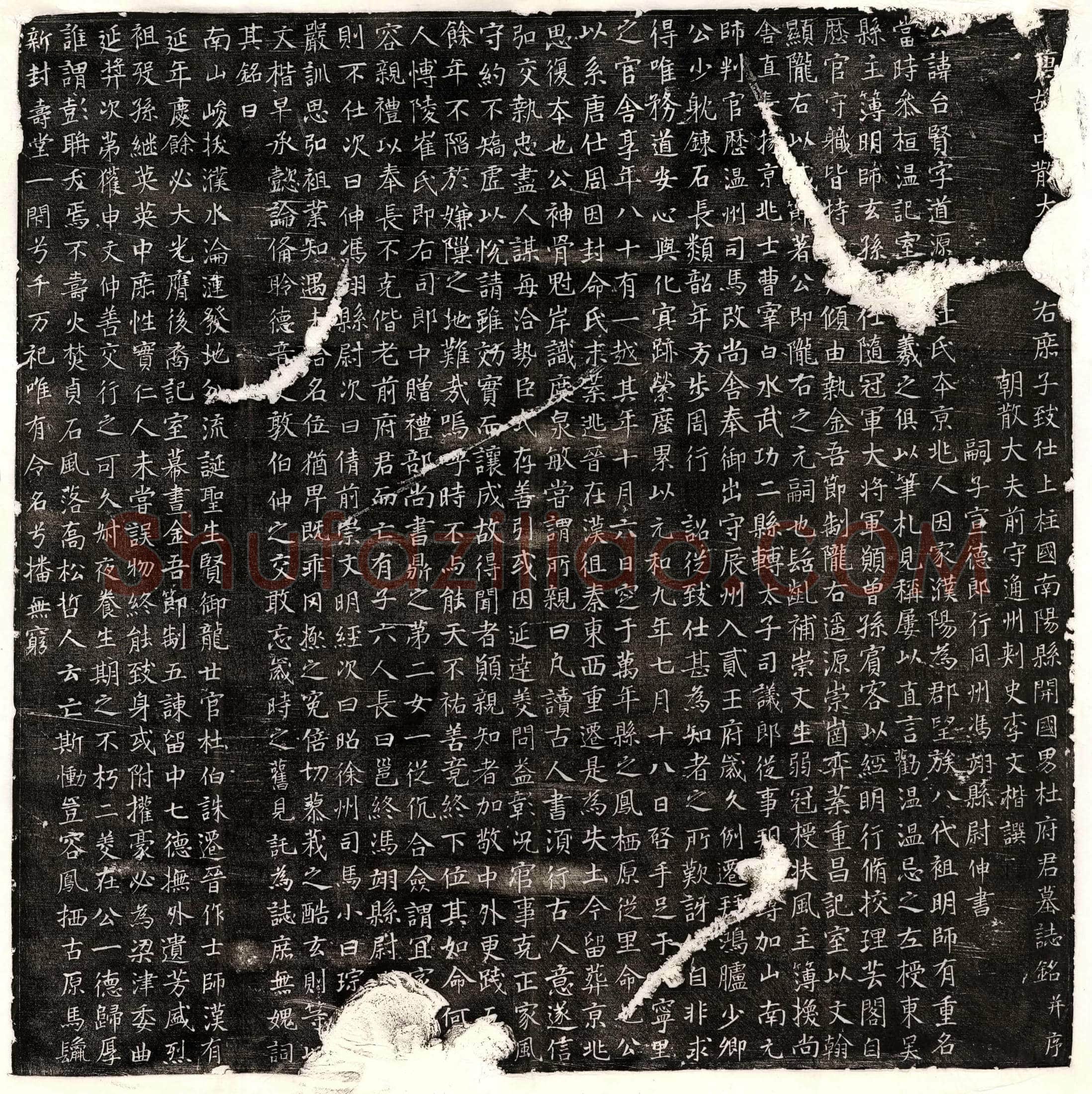 唐杜台贤墓誌(唐故中散大□□右庶子致仕上柱国南阳县开国男杜府君墓誌铭并序)