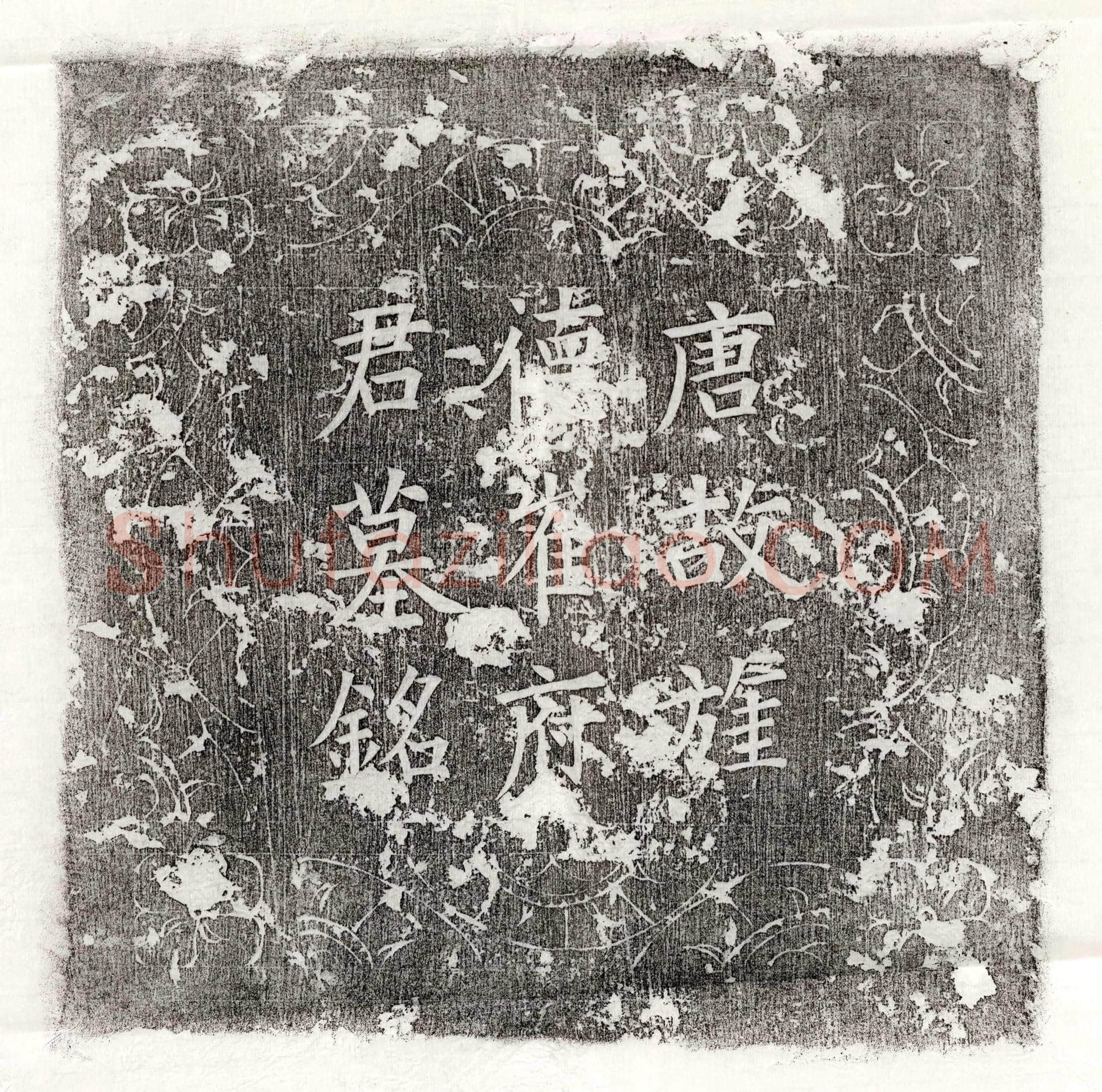 唐 韦端符妻郑霞士 墓誌